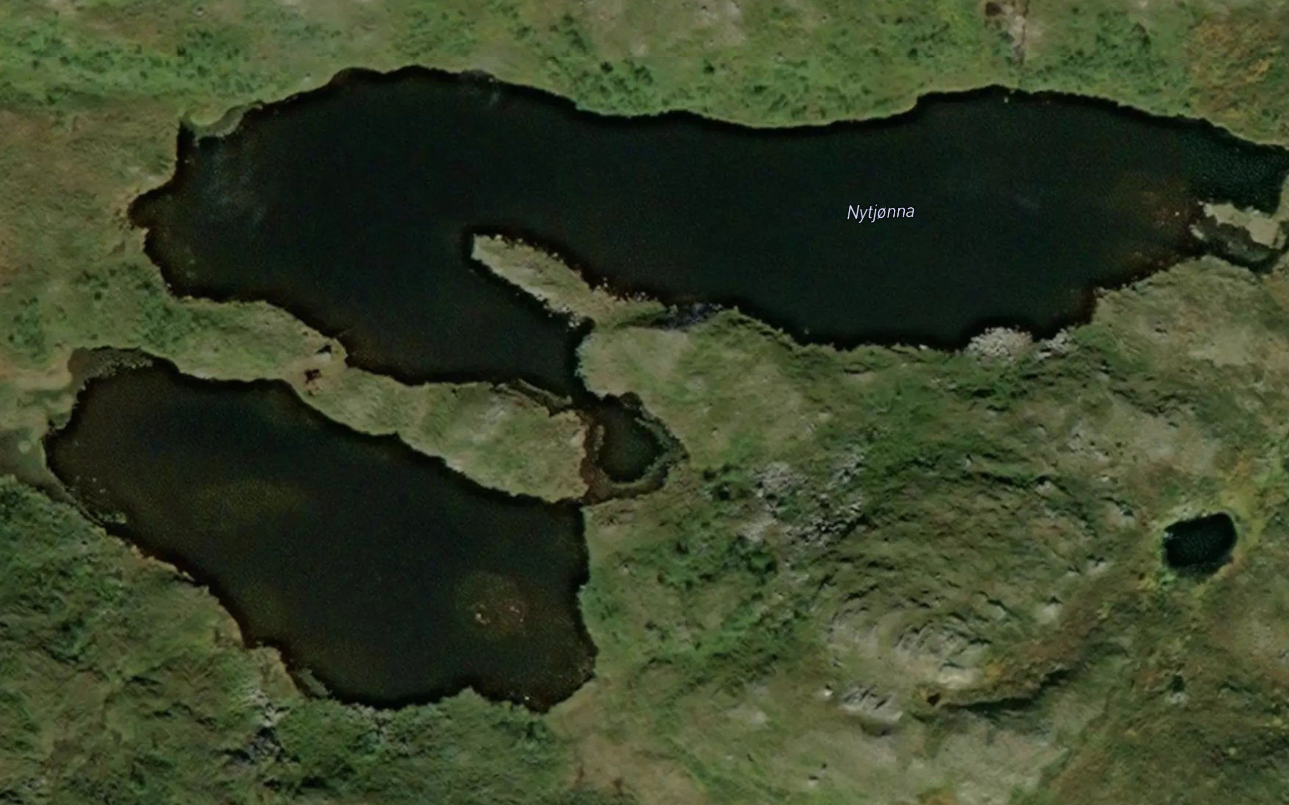 Nytjorna