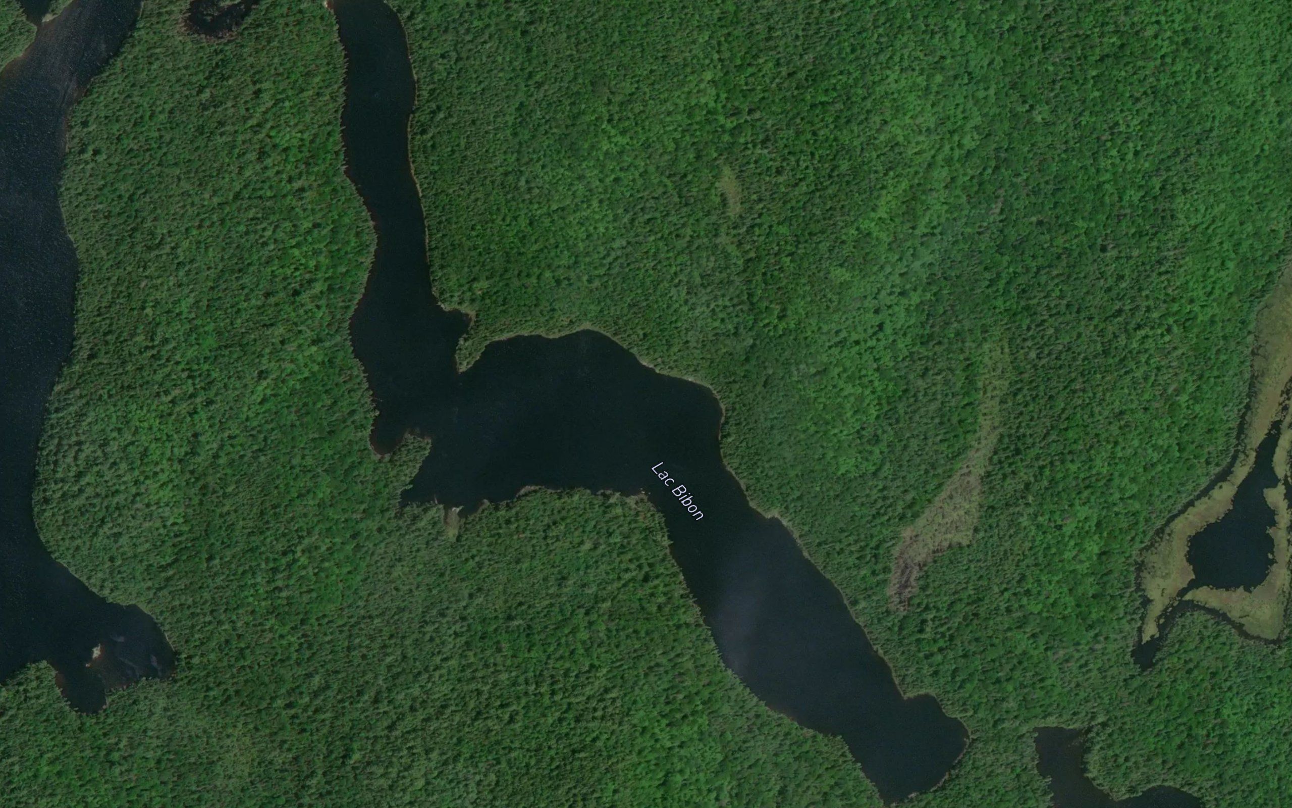 Lac Bibon