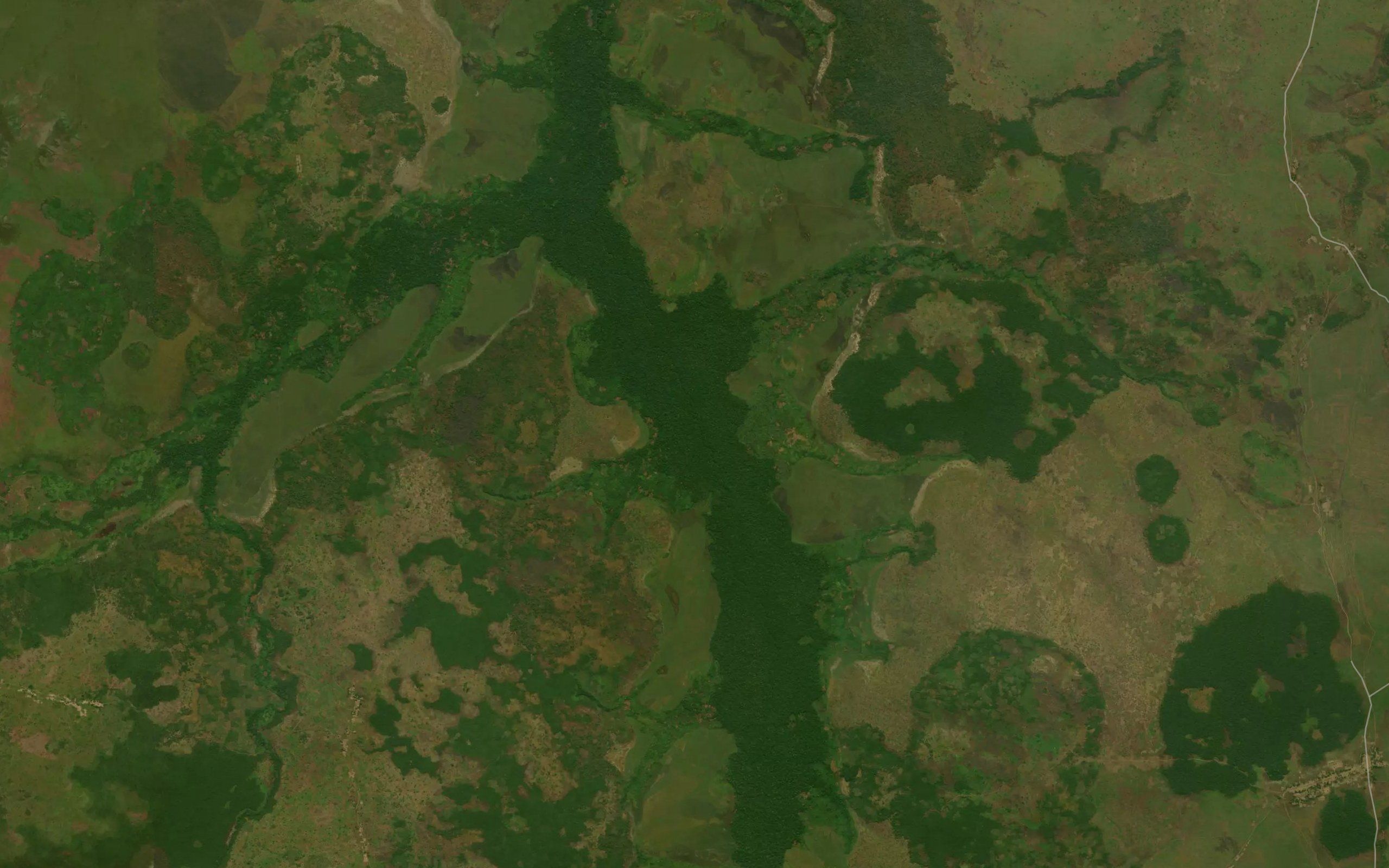 Mikalu