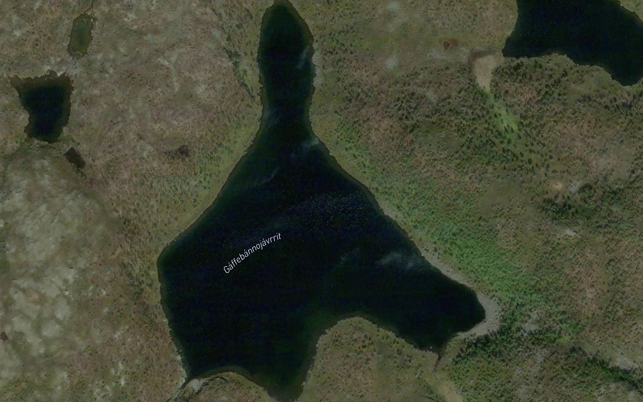 Gaffebannujavrit