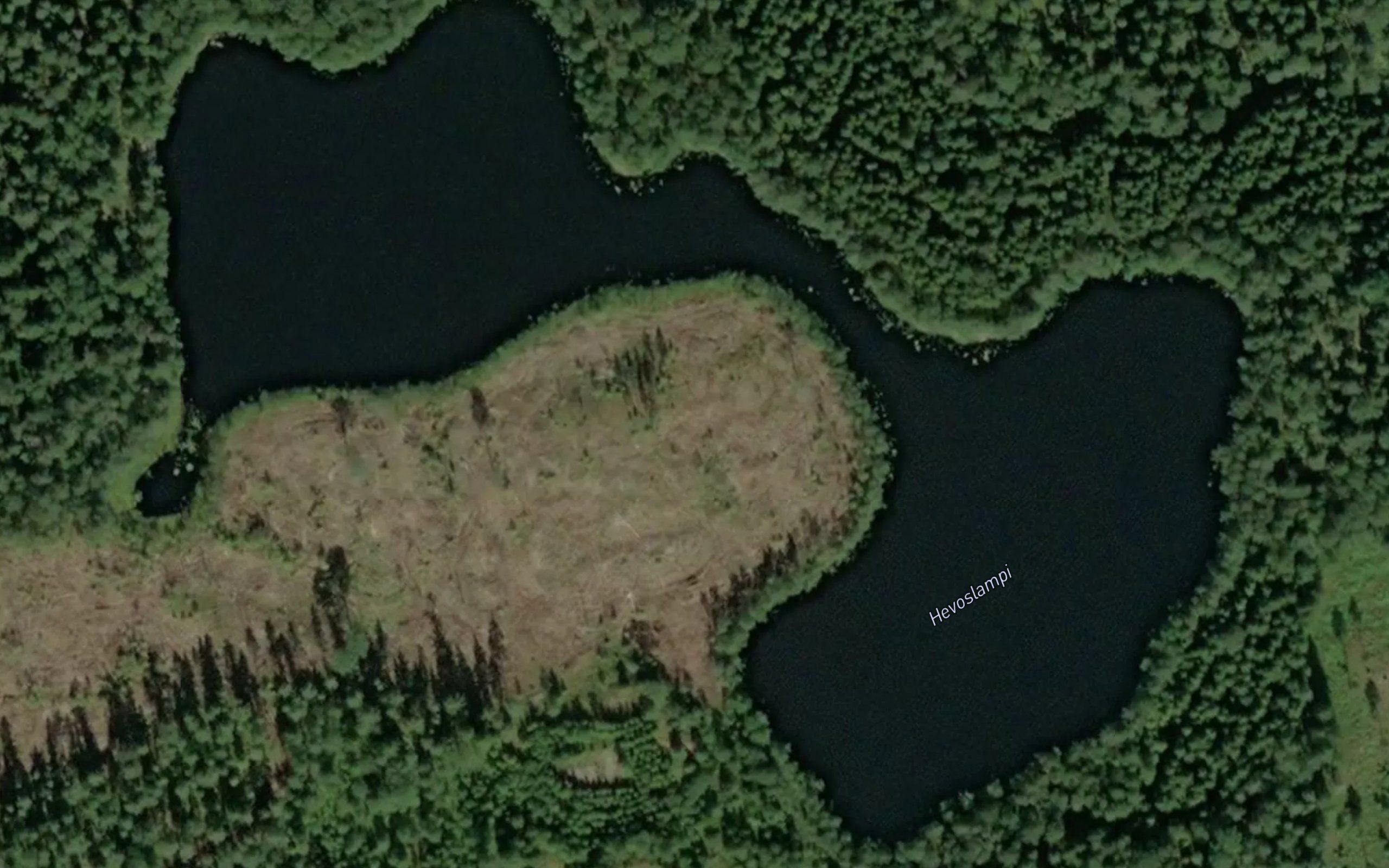 Hevoslampi