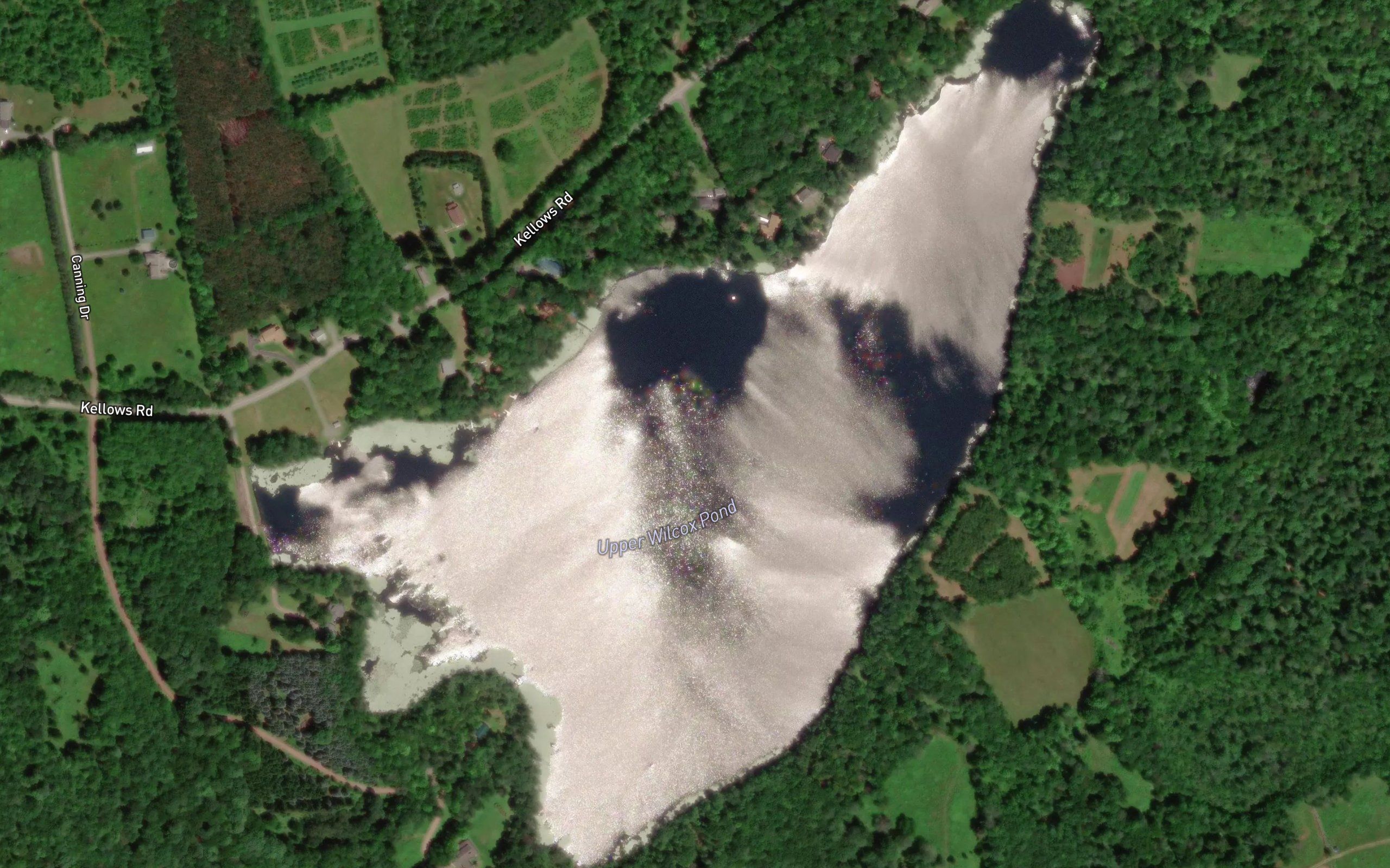 Upper Wilcox Pond