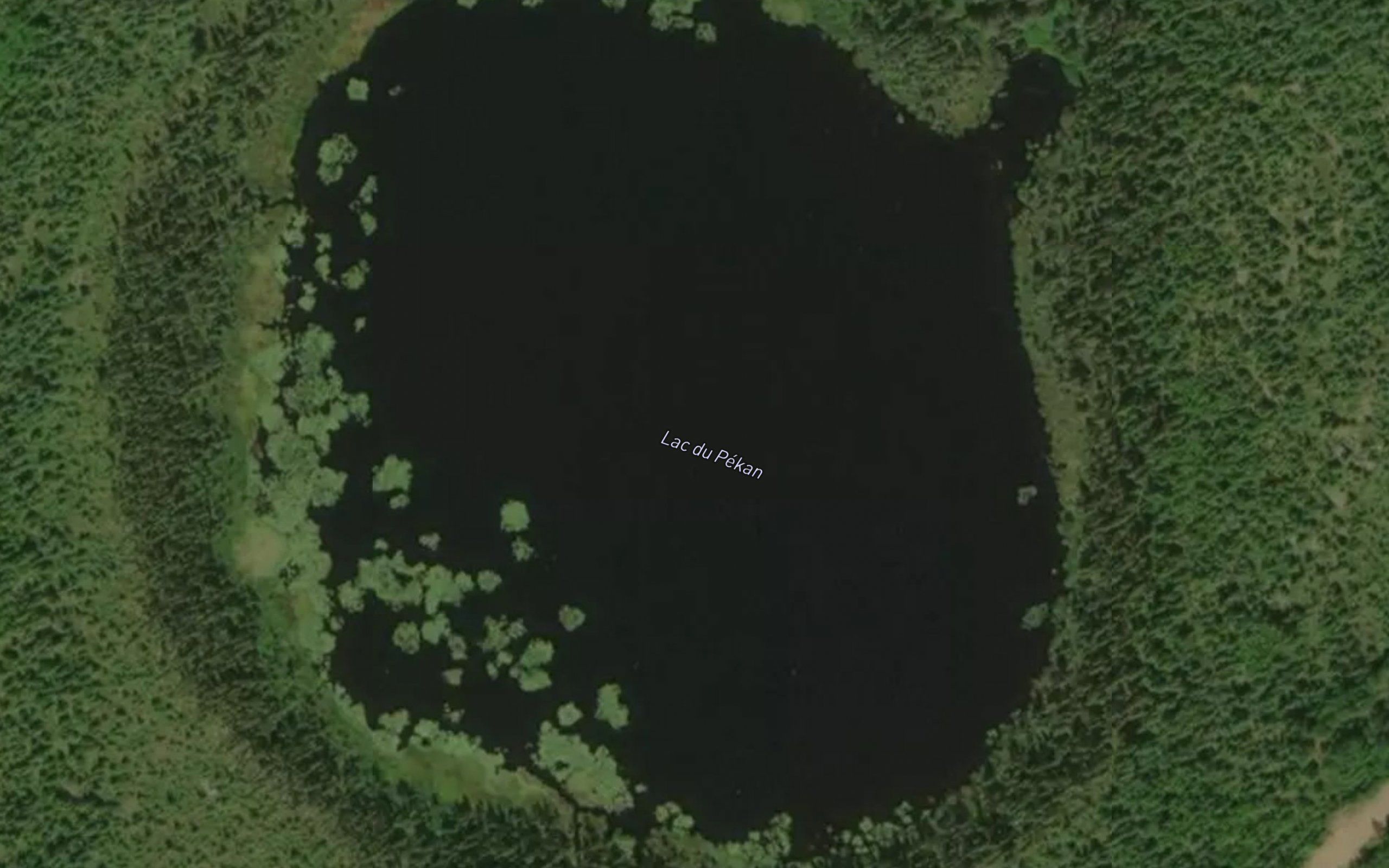 Lac du Pekan