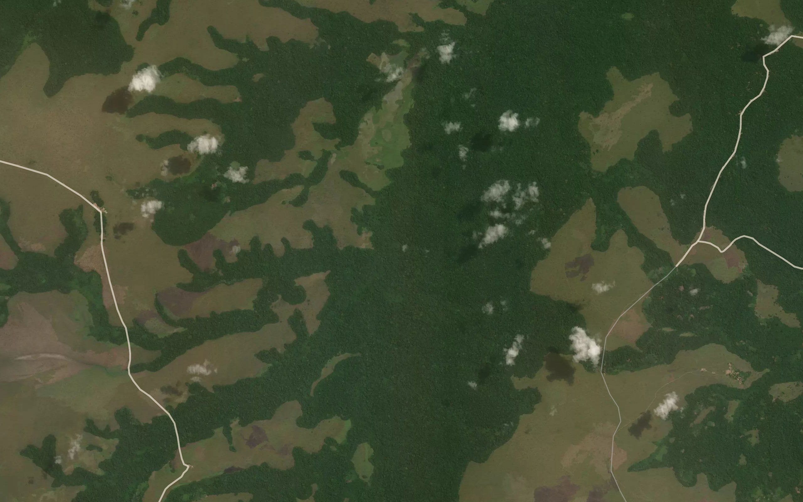 Ngouli