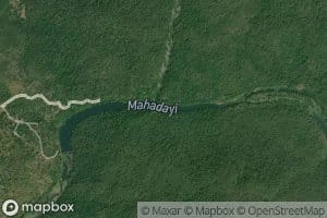 Mahadayi River