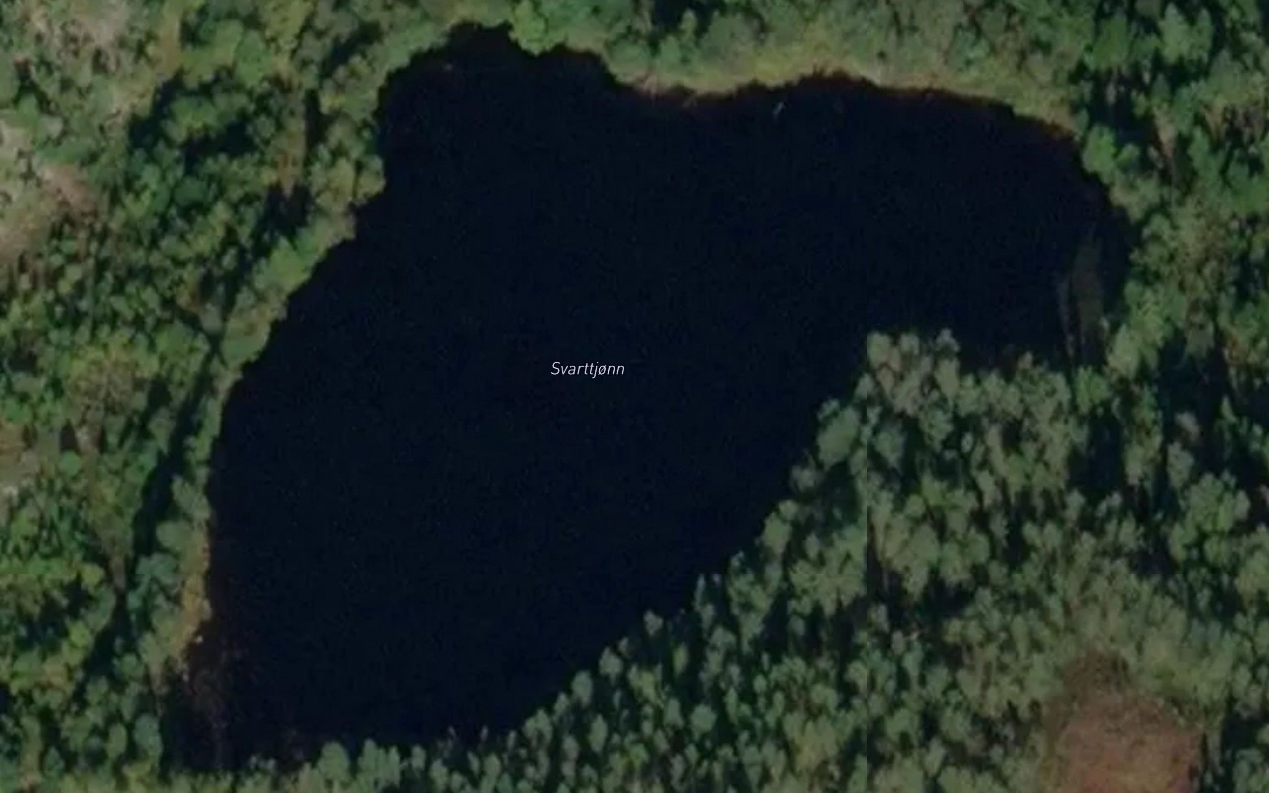 Svarttjorn