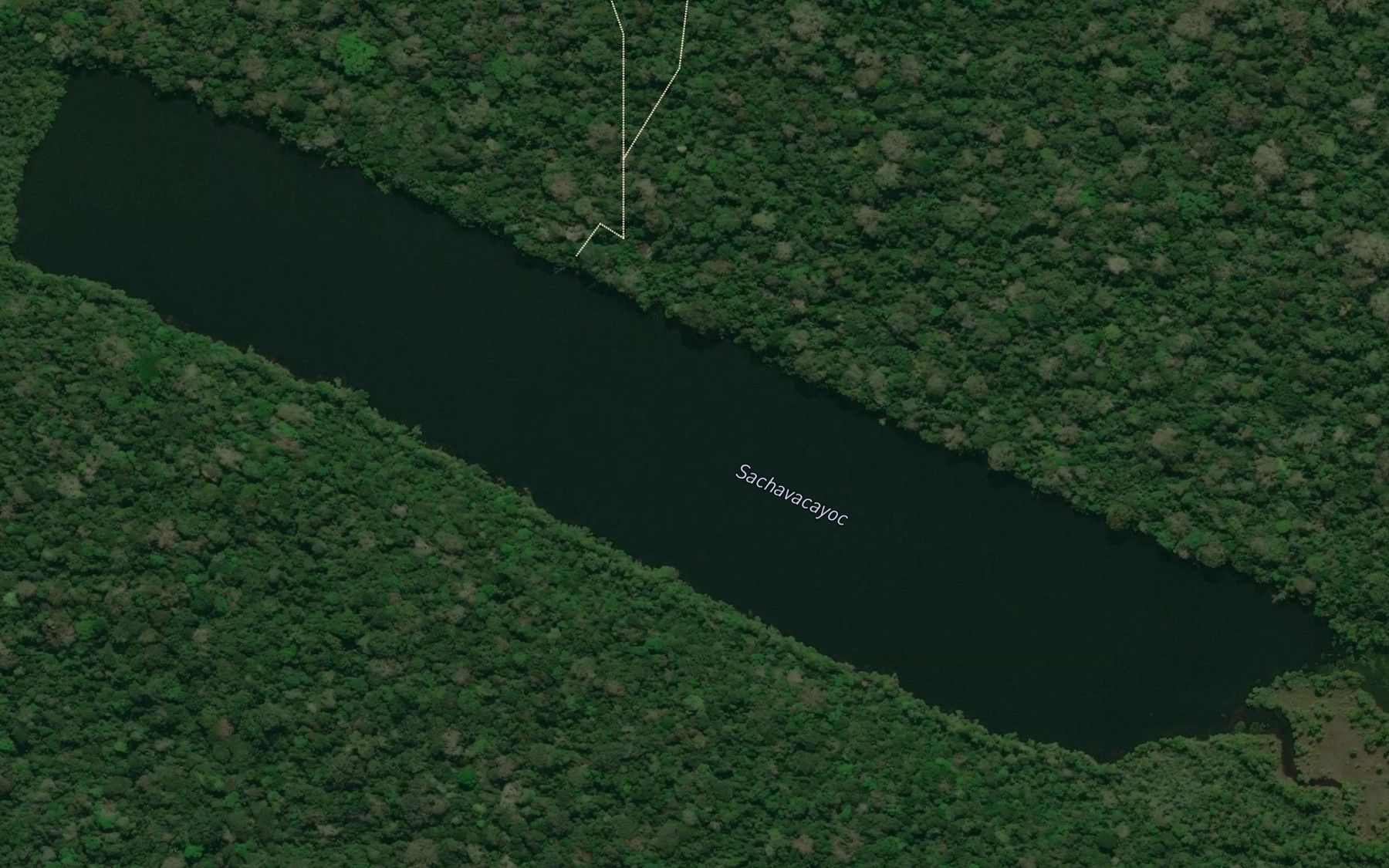 Satellite map of the Lago Sachavacayoc