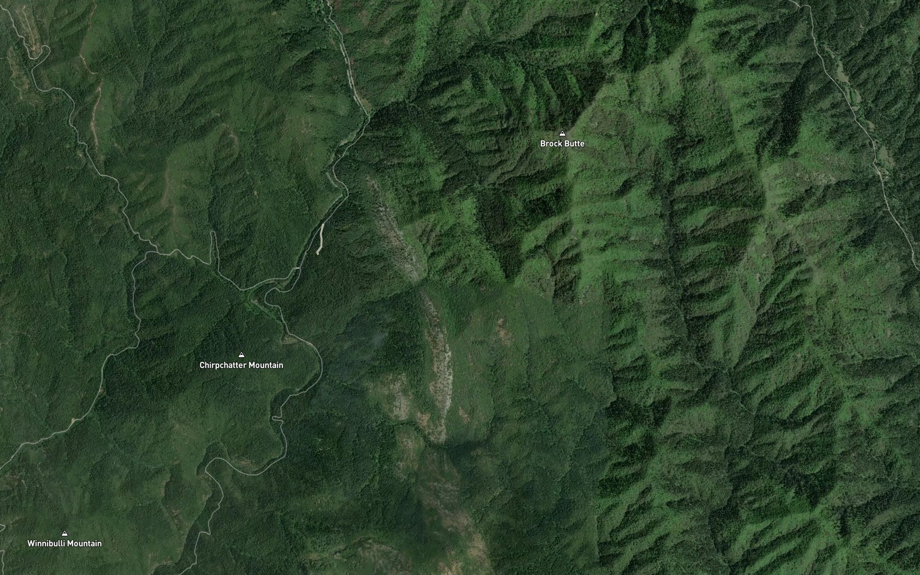 Satellite map of the Alder Spring
