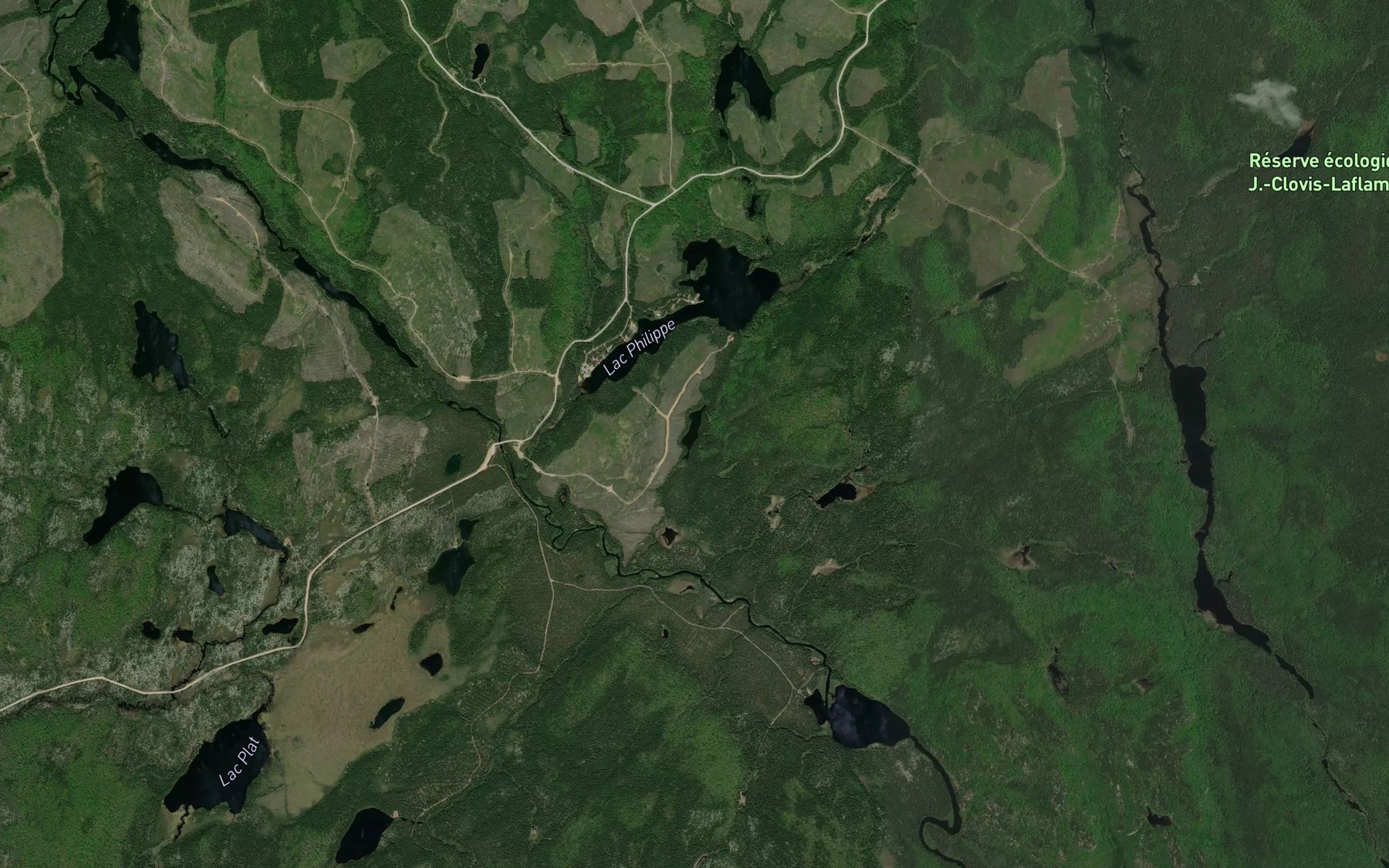 Satellite map of the Lac du Siffleux