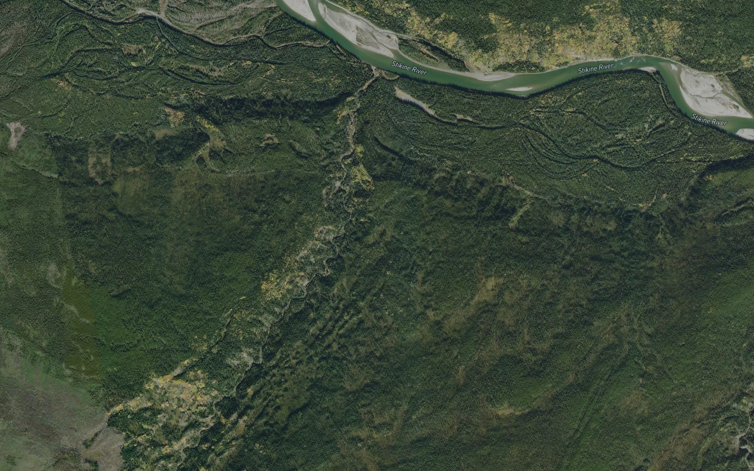Cambridge Creek