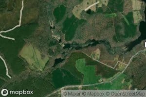 Little Cattail Creek