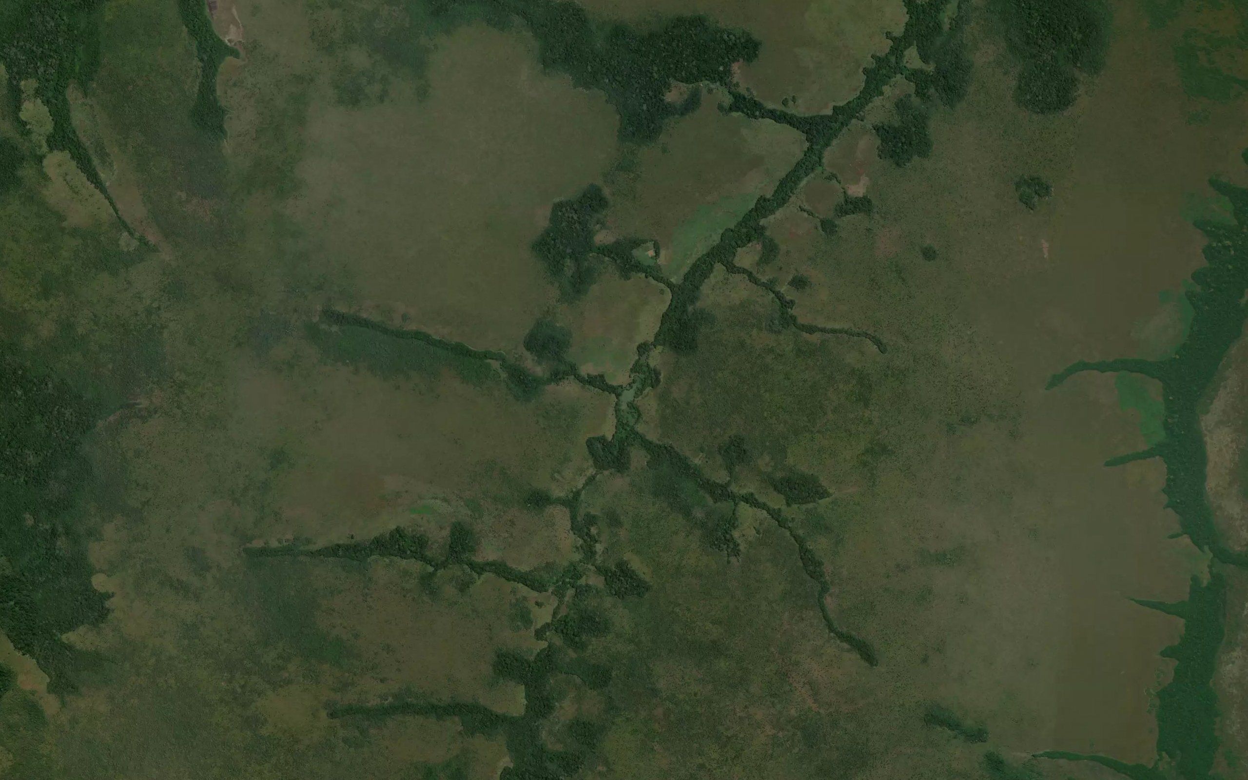 Lukongo