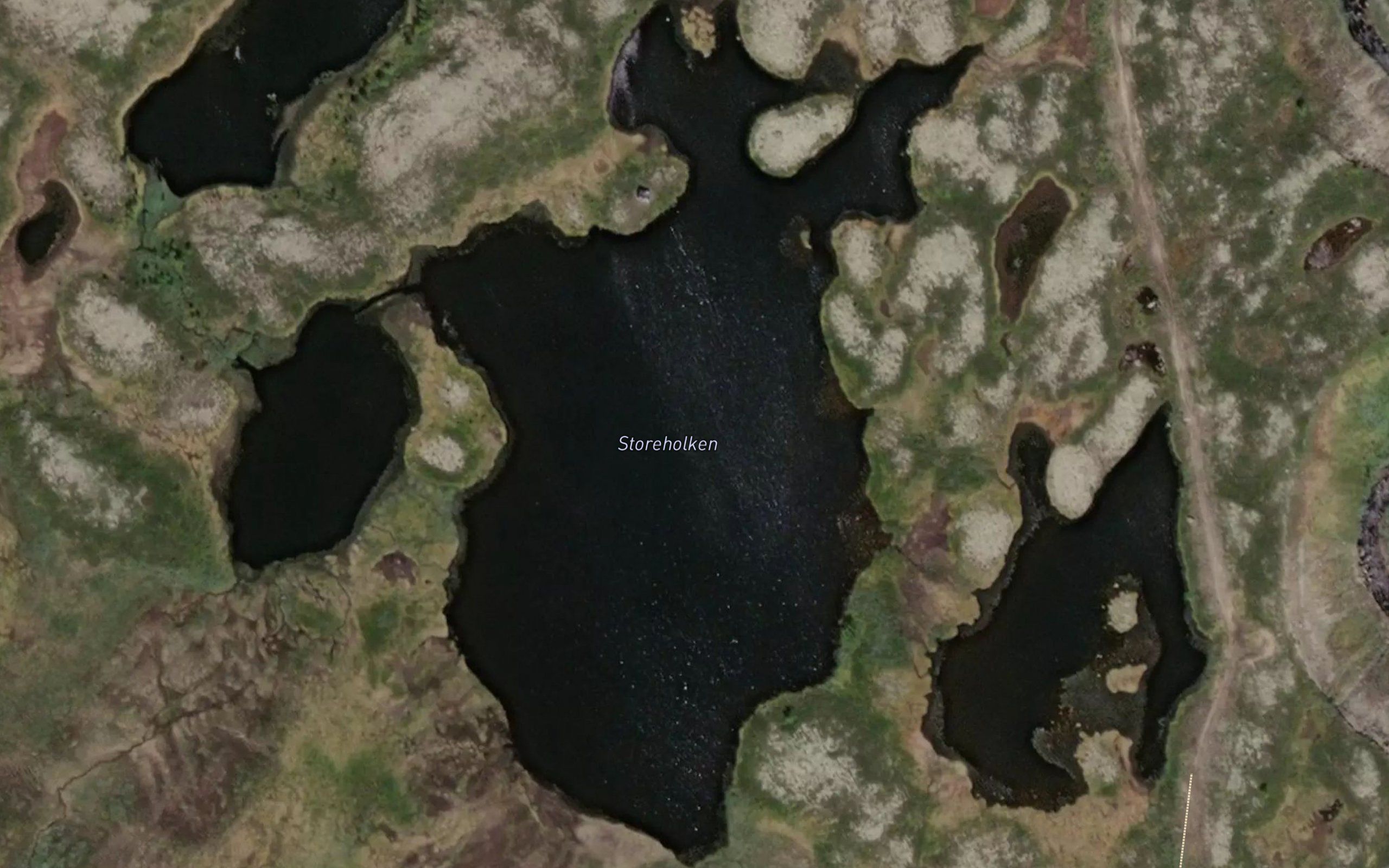Storeholken