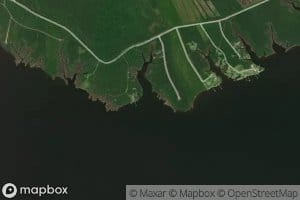 Mesic Creek