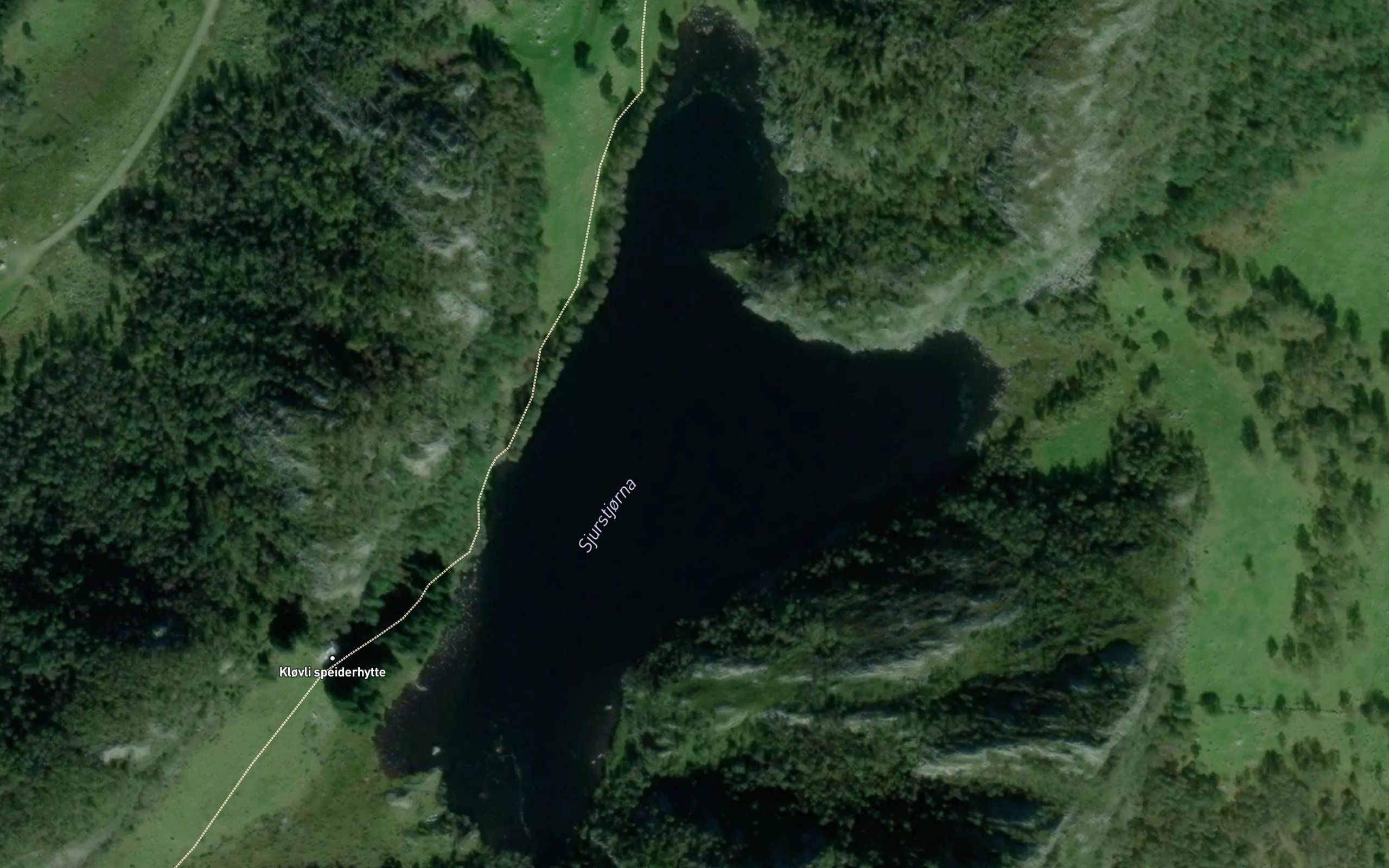 Sjurstjorna