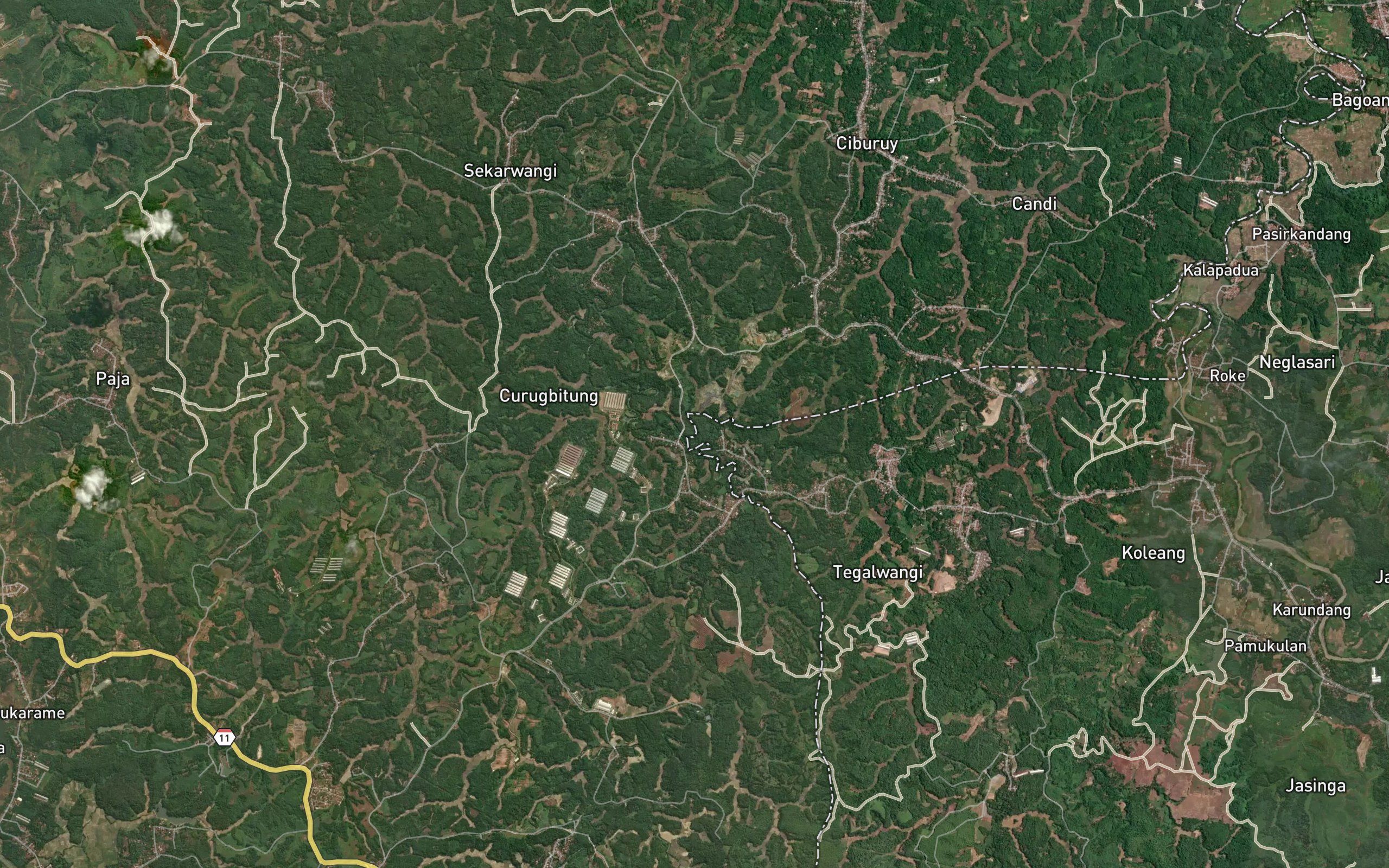 Ci Kawung