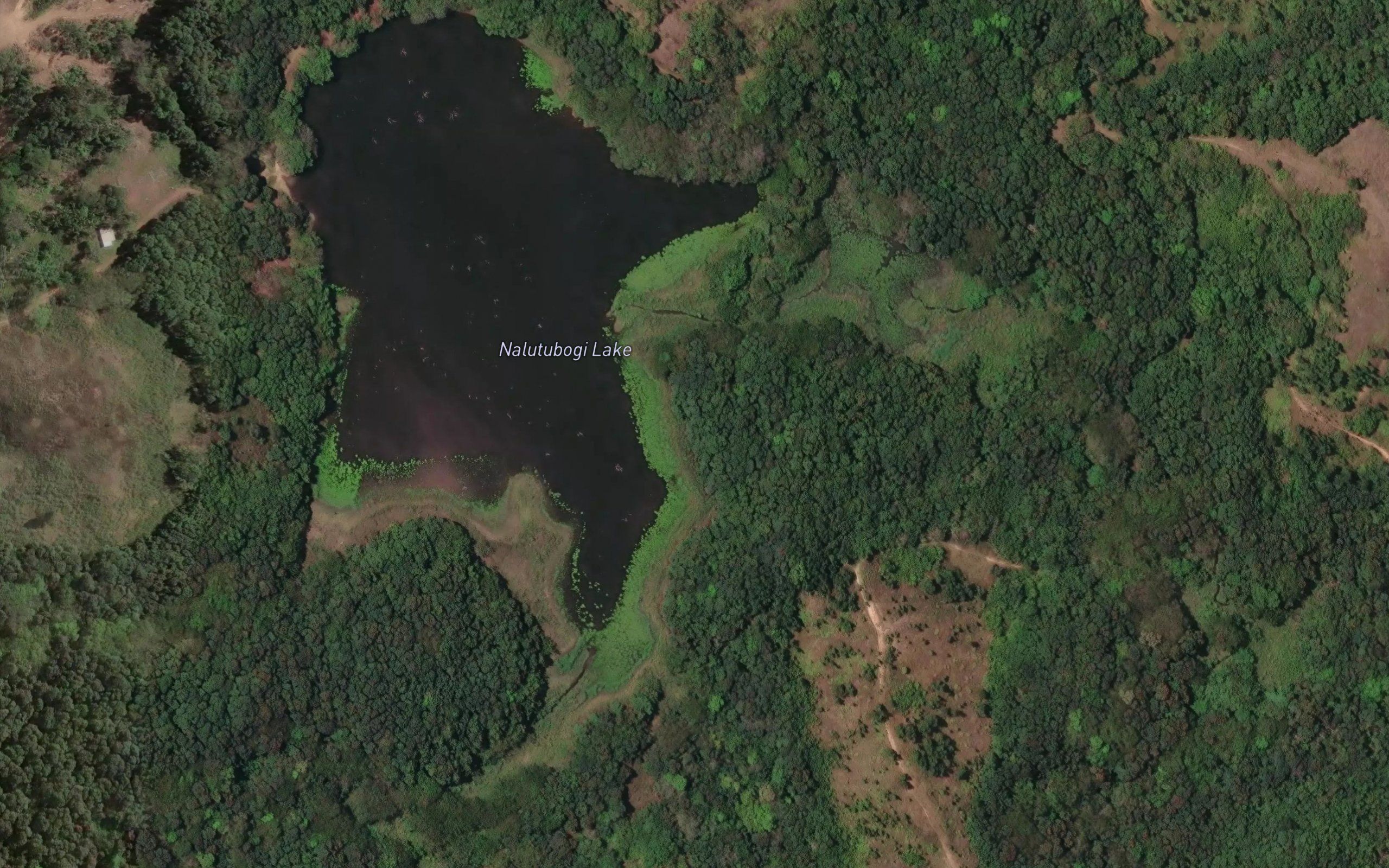 Naqere Creek