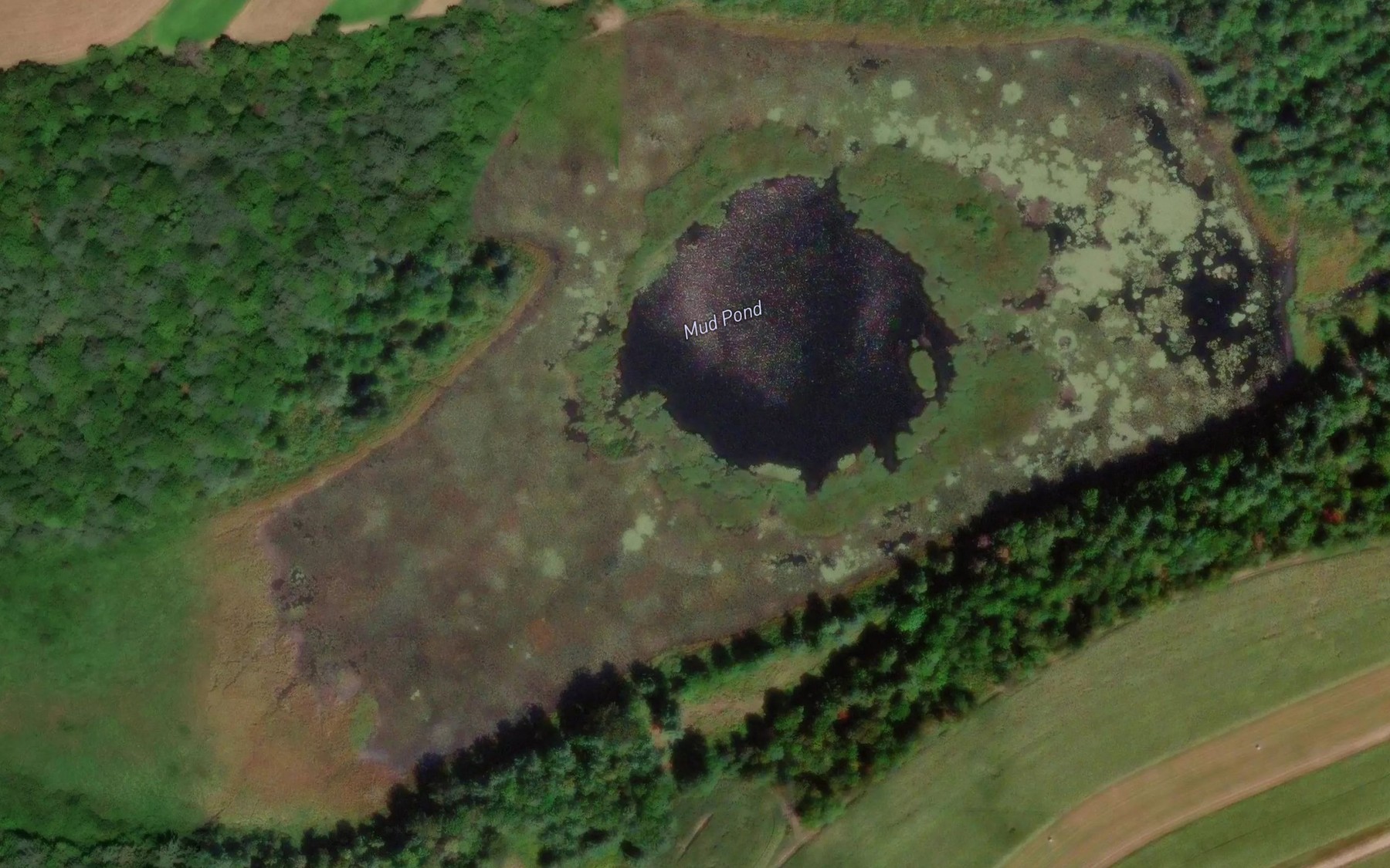 Satellite map of the Mud Pond