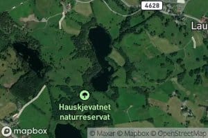Lausnesvatnet