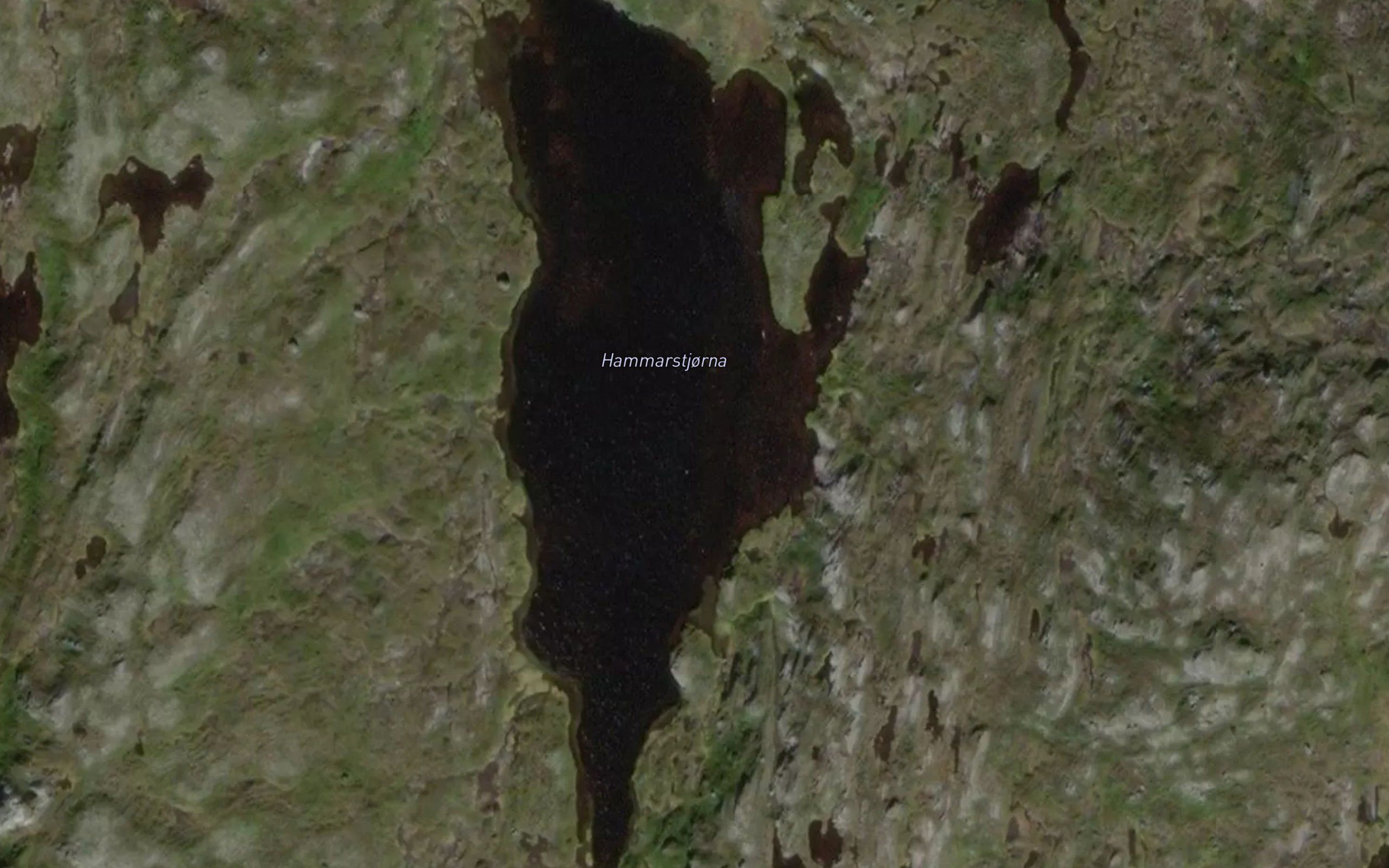 Hammarstjorna