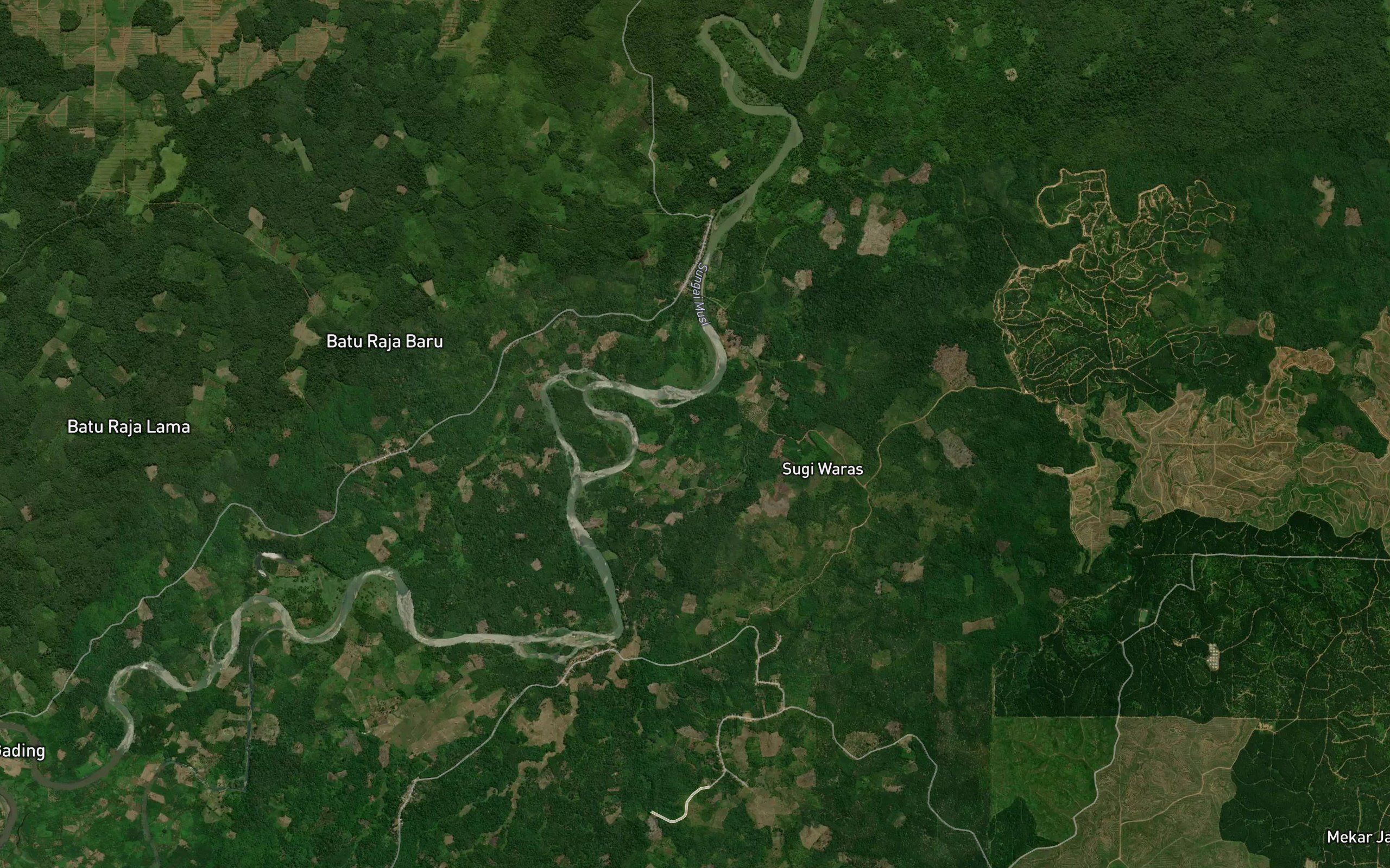 Sungai Bunga