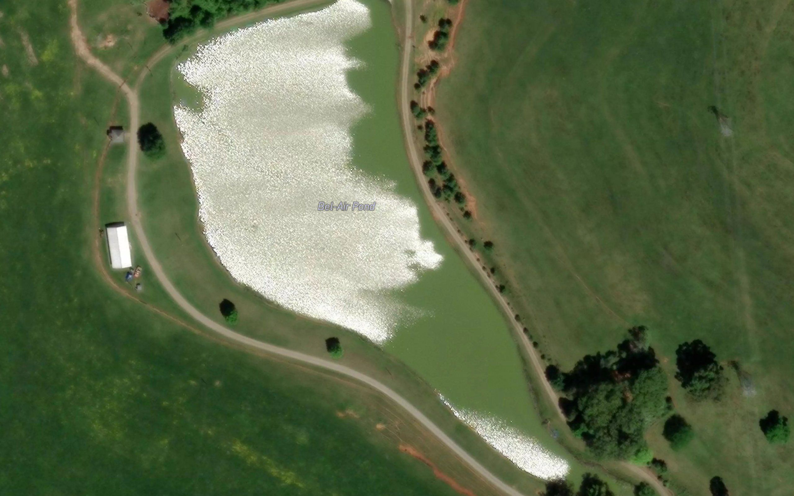 Bel-Air Pond
