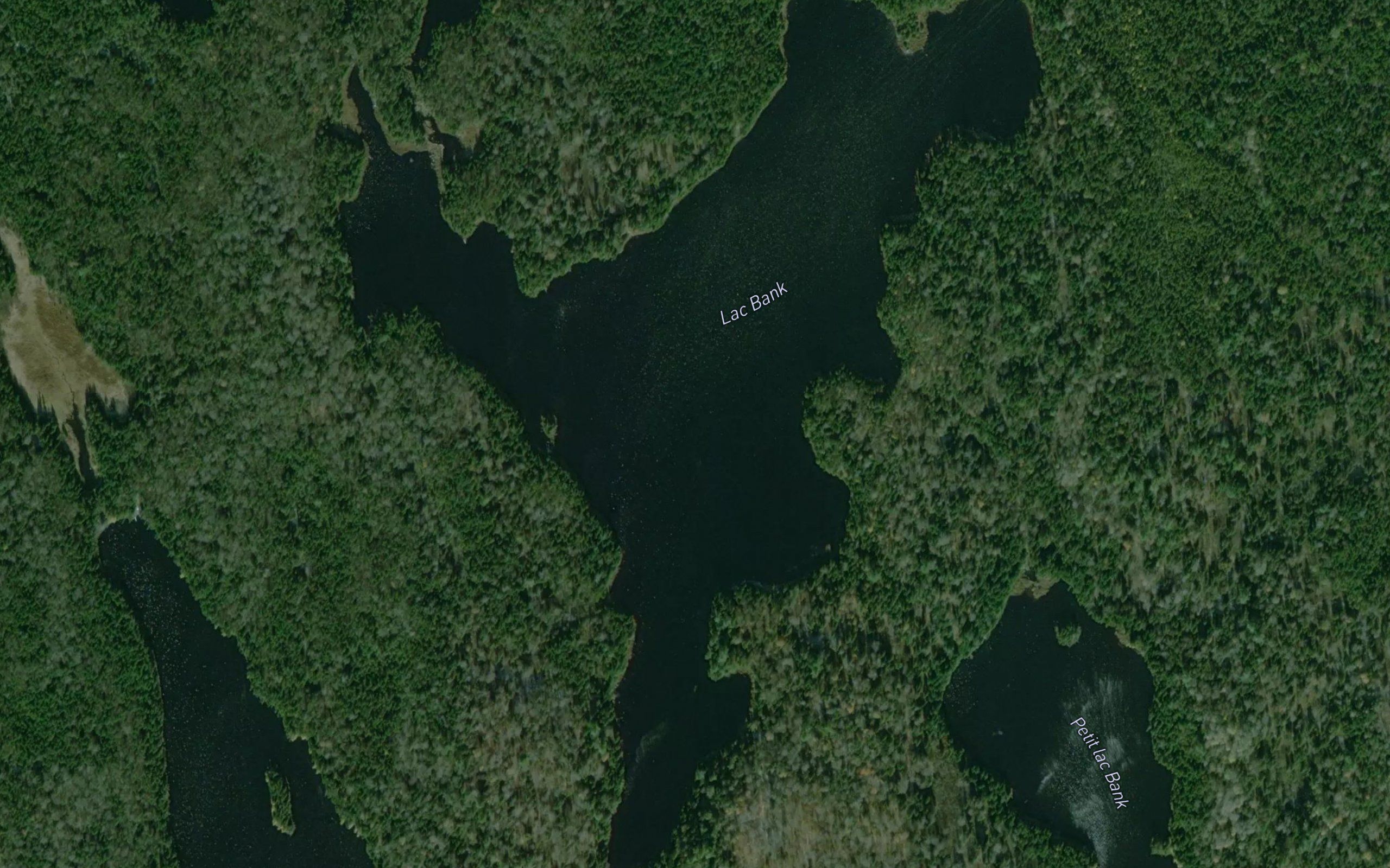 Lac Bank