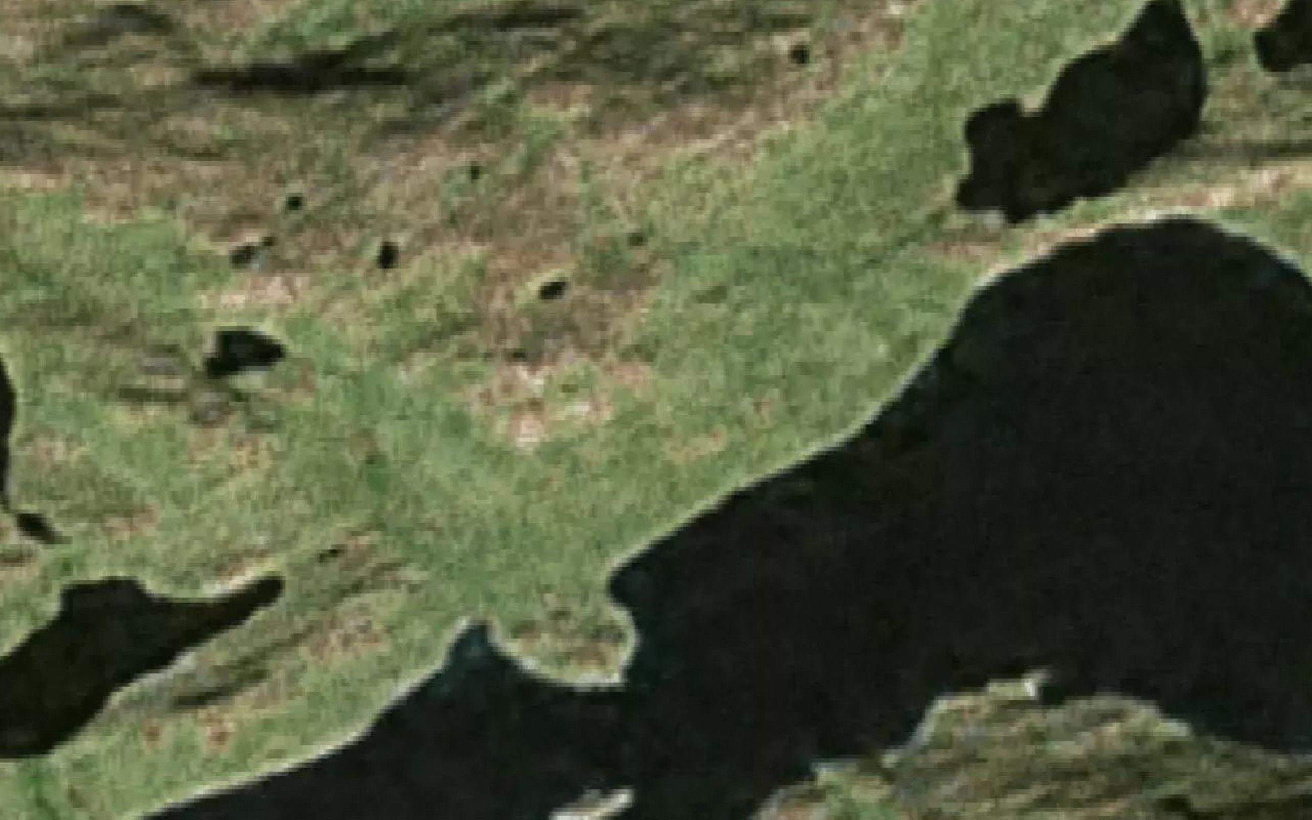 Tarajornitsoq