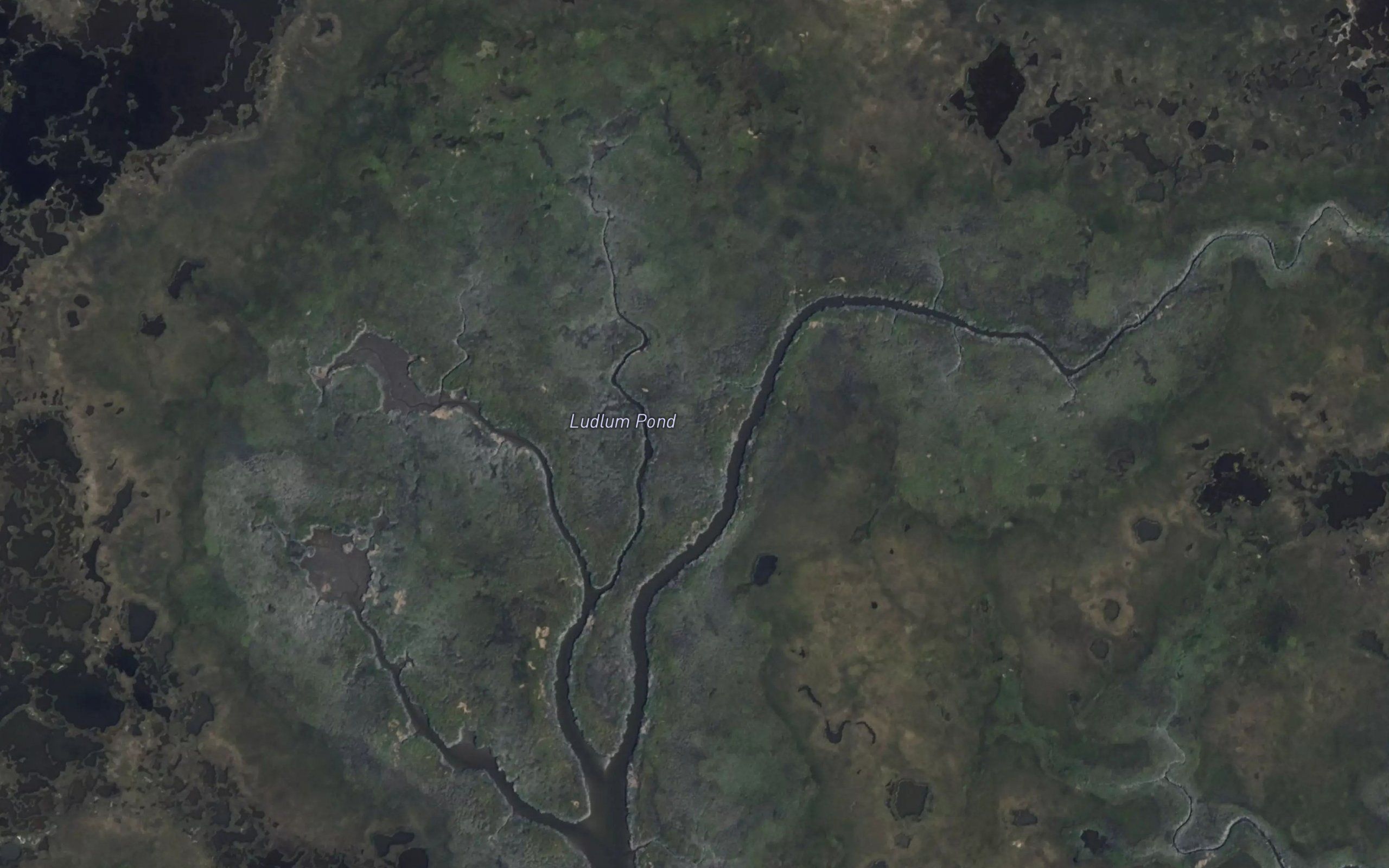 Ludlum Pond