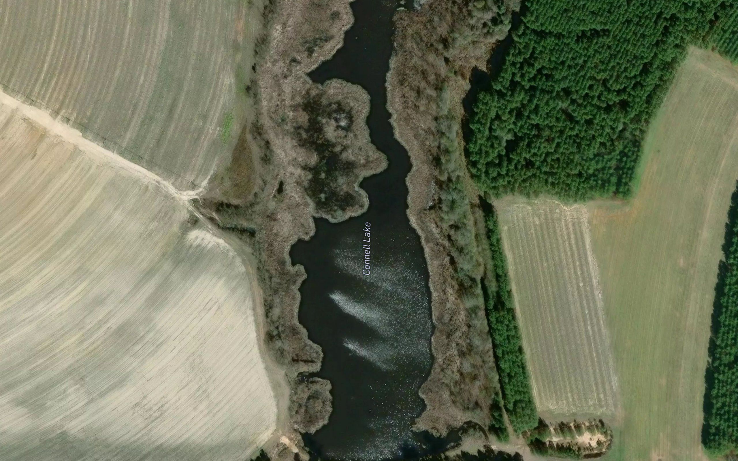 Connell Lake