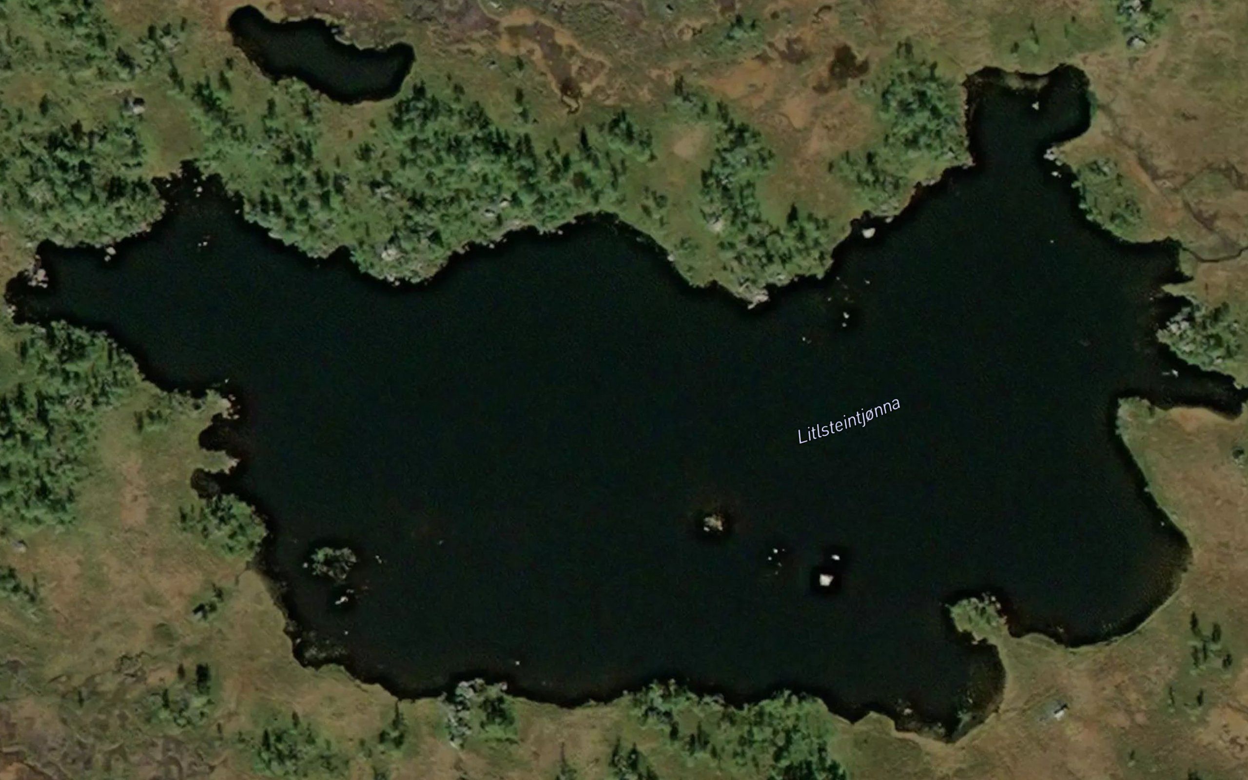 Litlesteintjorna