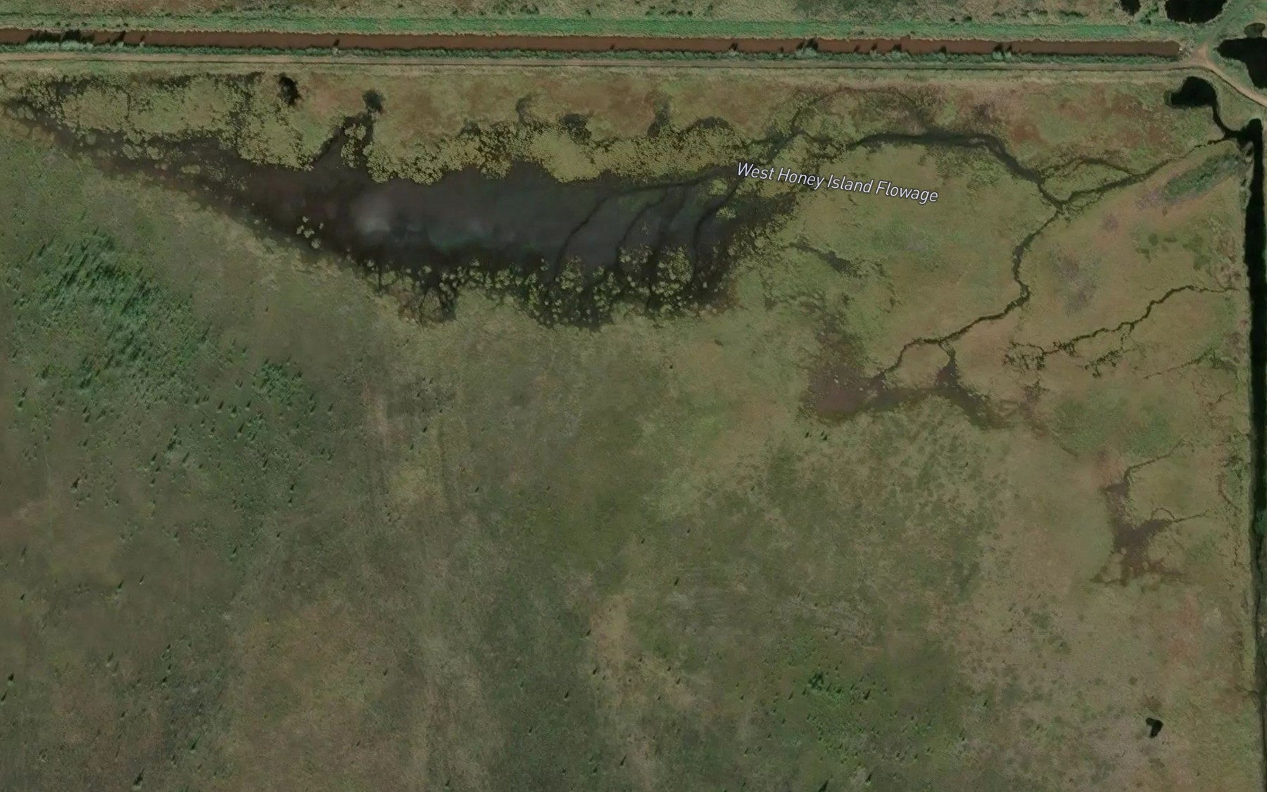 Satellite map of the West Honey Island Flowage