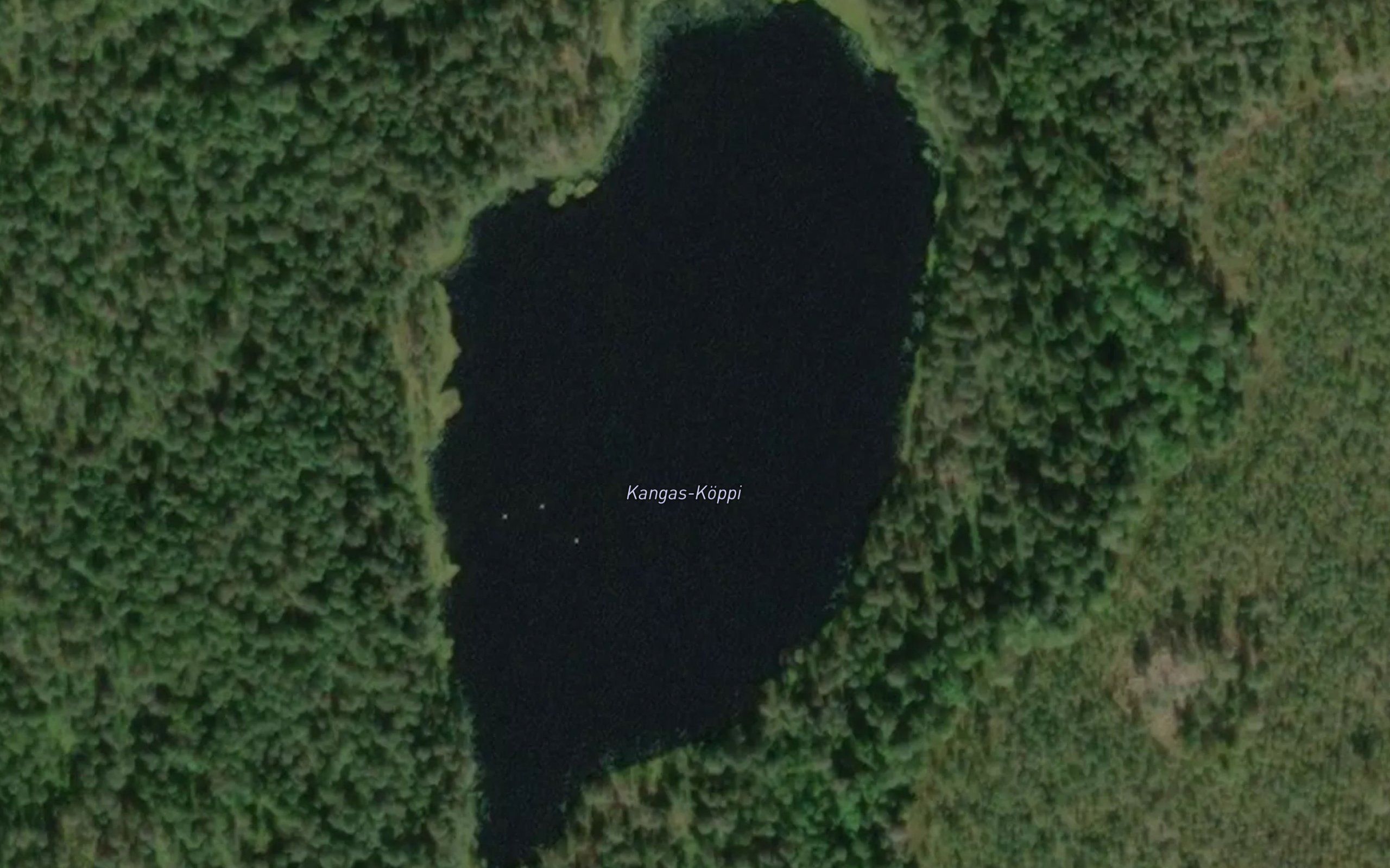 Kangas-Koppi