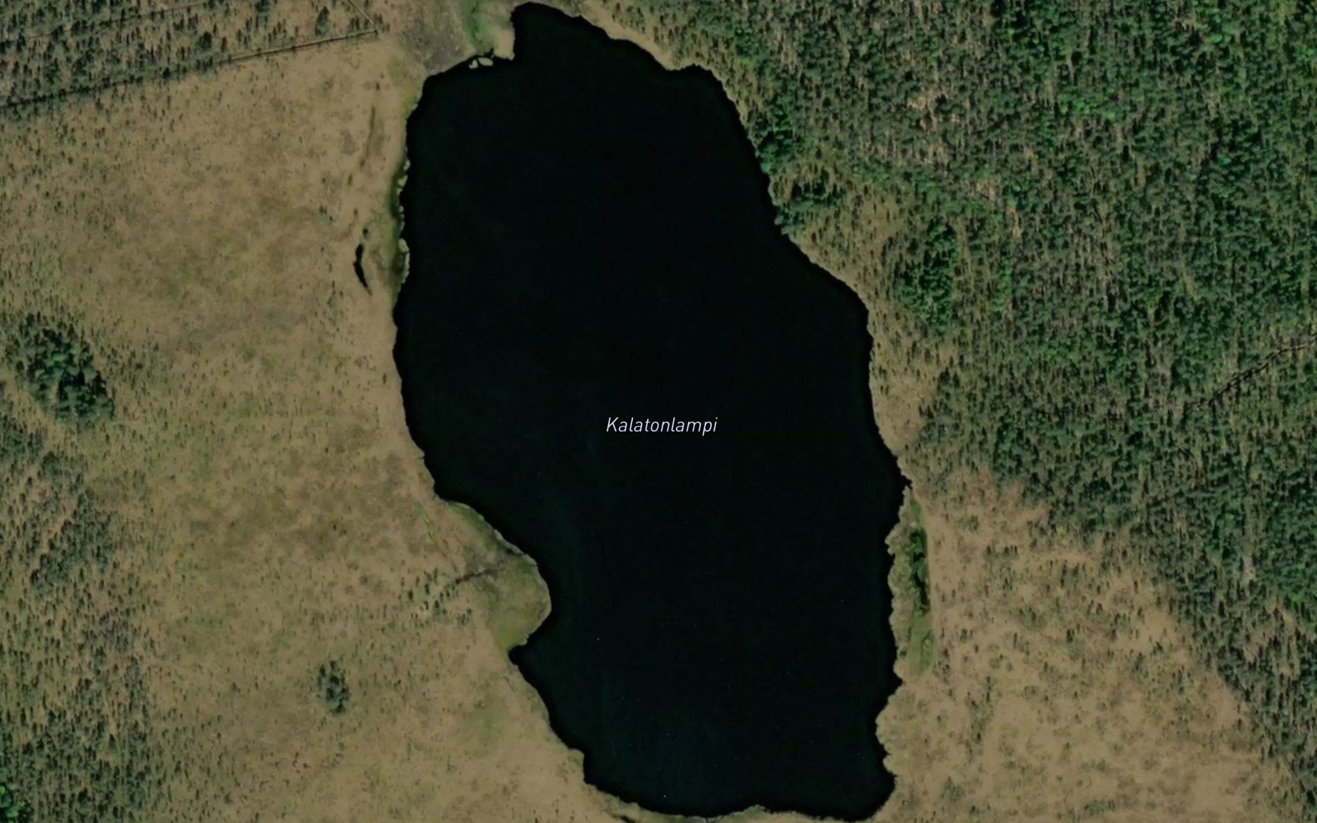 Kalatonlampi