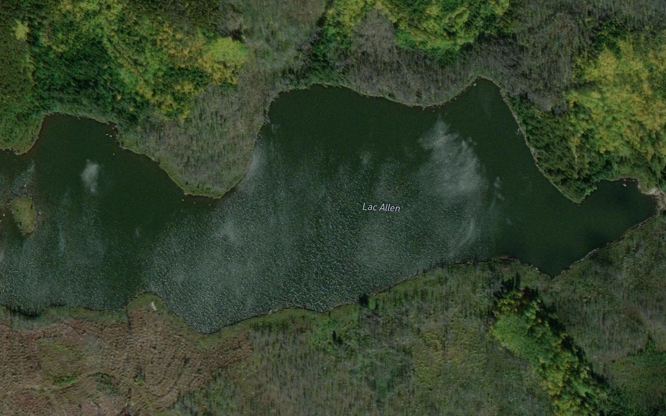 Lac Allen