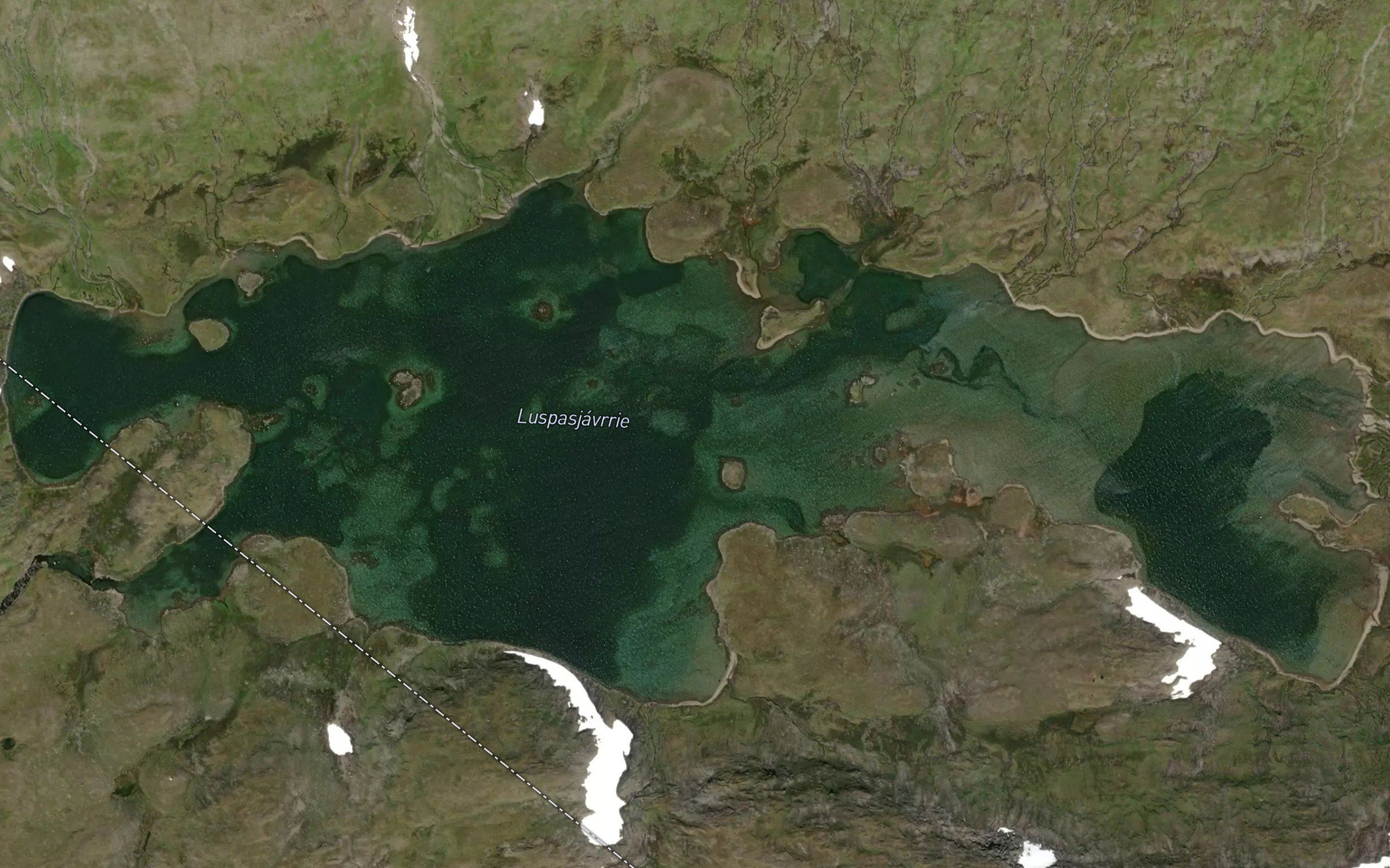 Tjauringijakka