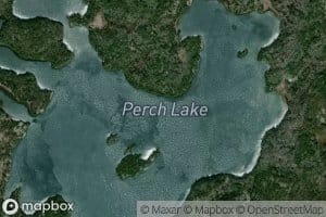 Perch Lake