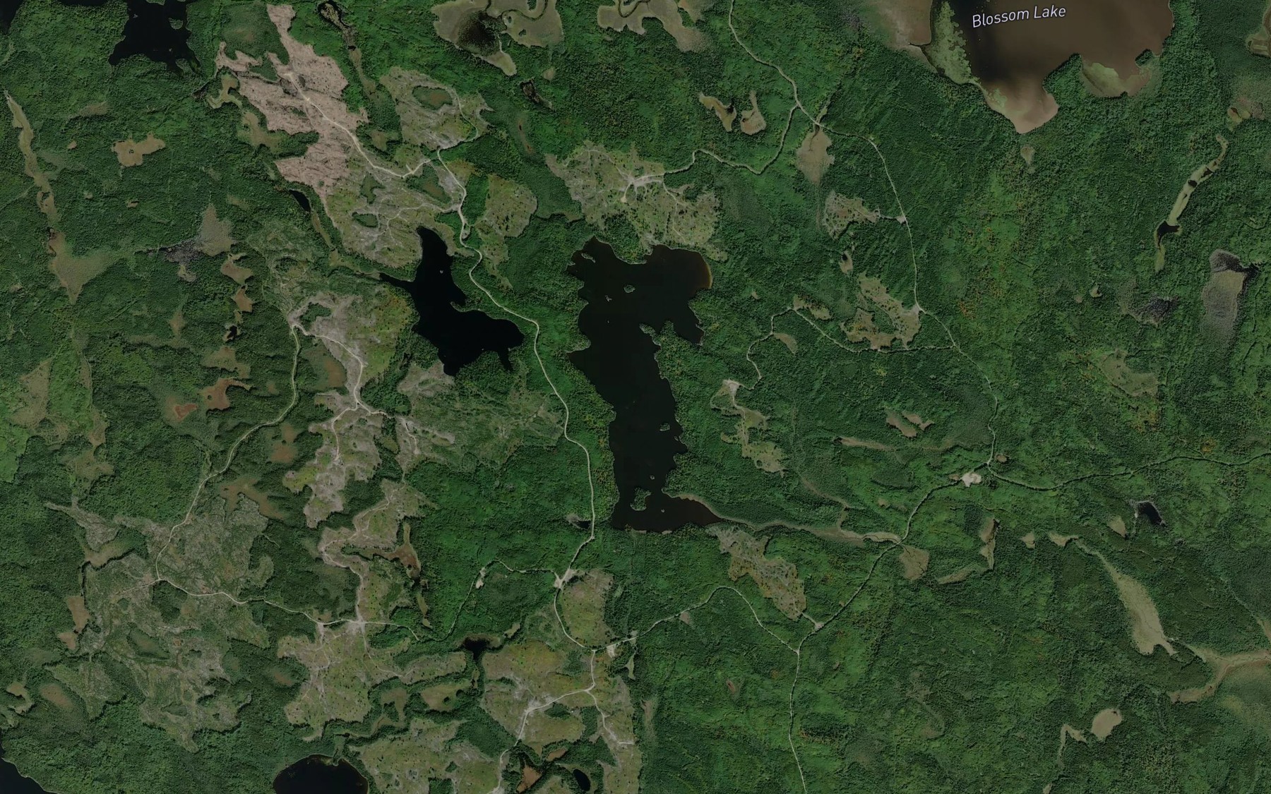 Satellite map of the Young Lake