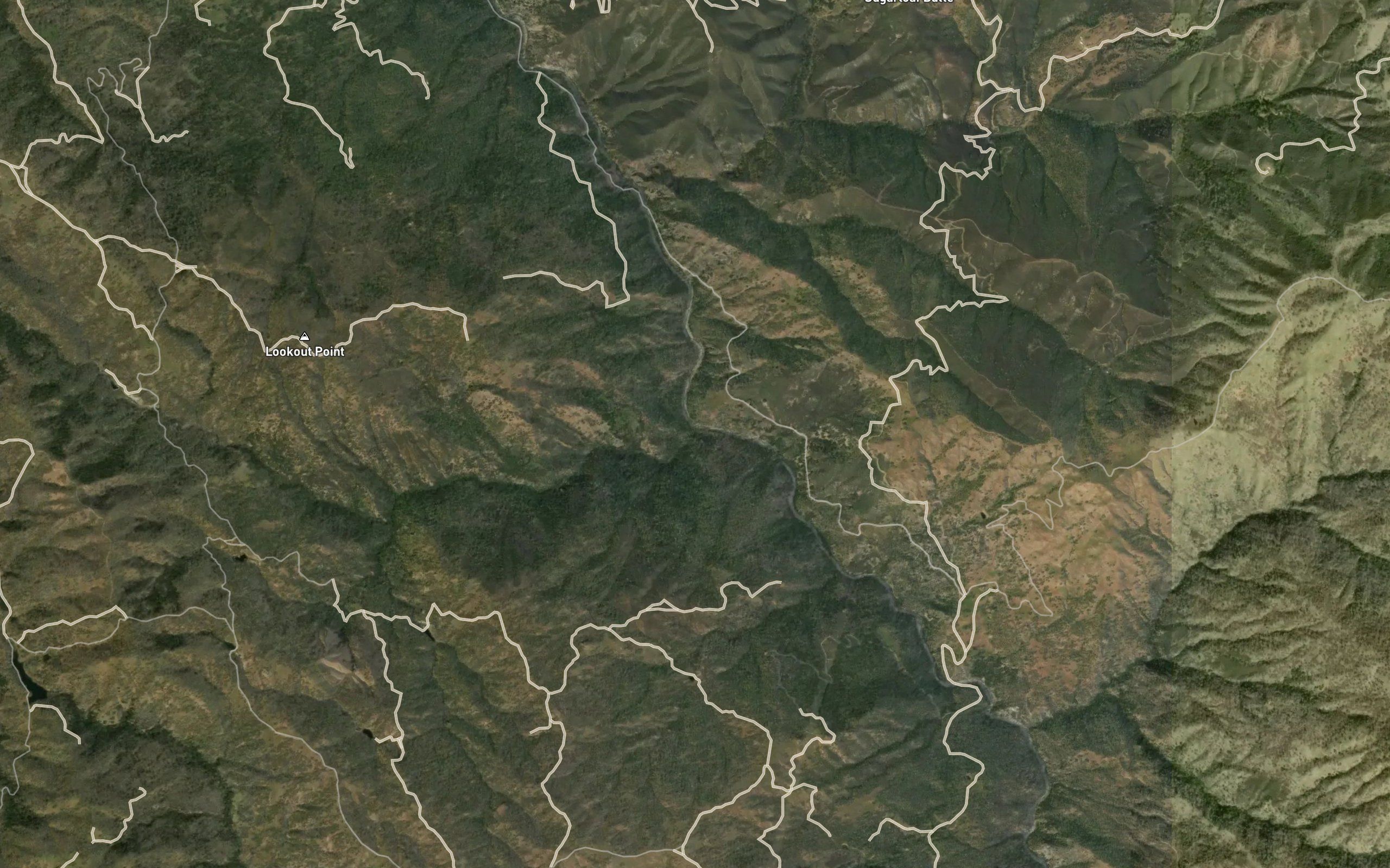 Trout Creek