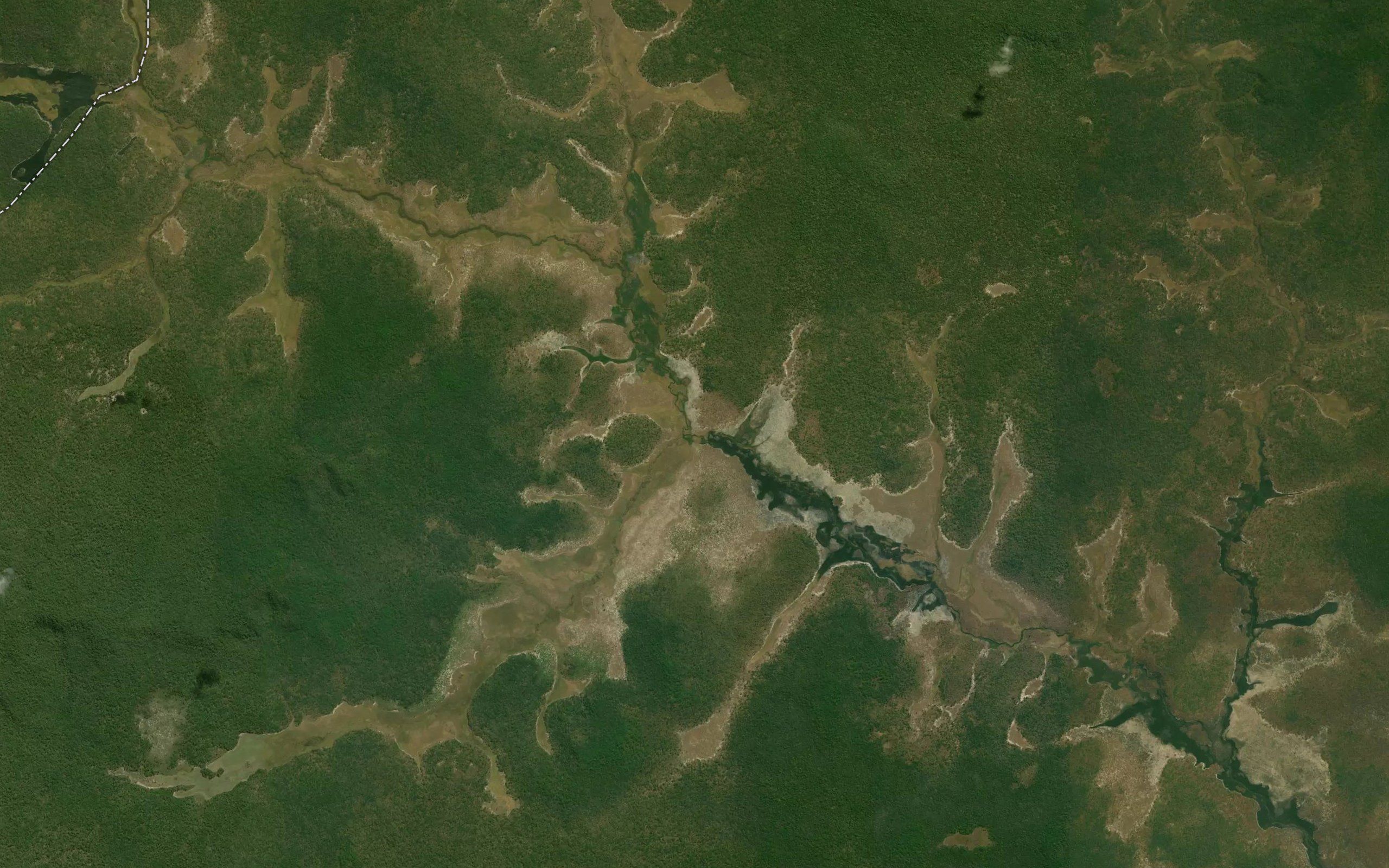 Lueta