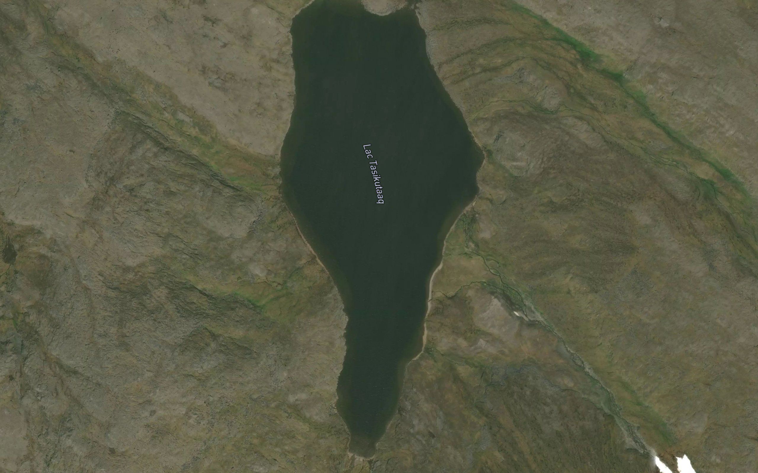 Lac Tasikutaaq