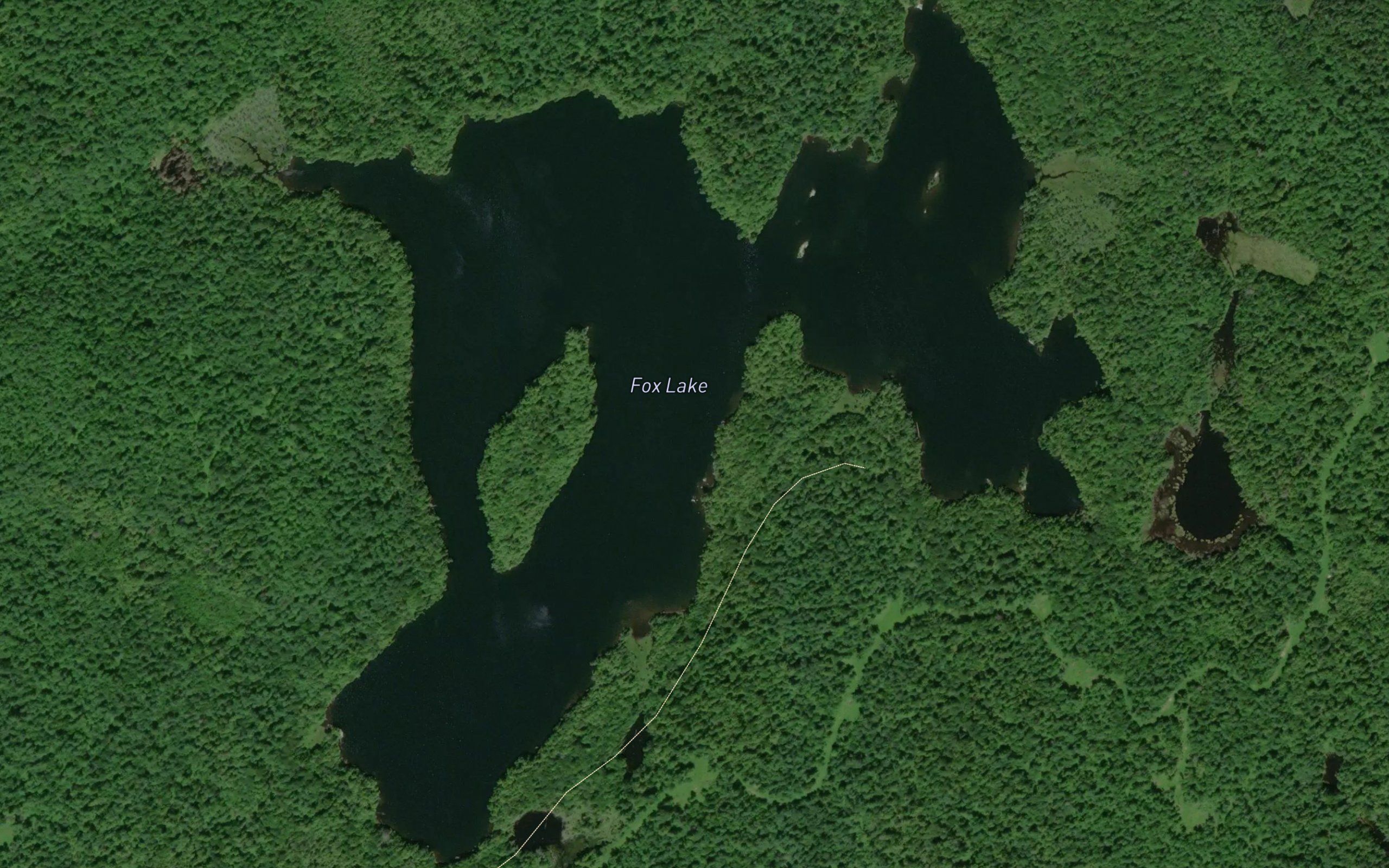 Fox Lake