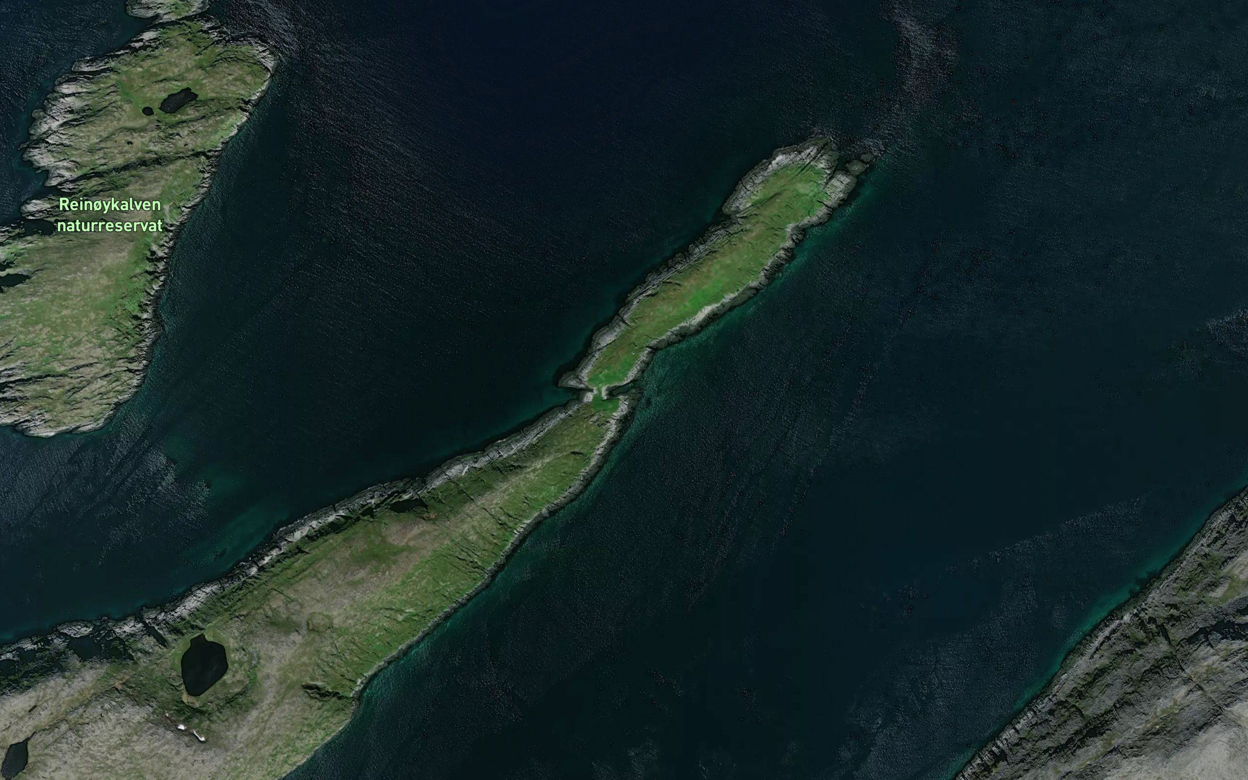 Reinoyvalen
