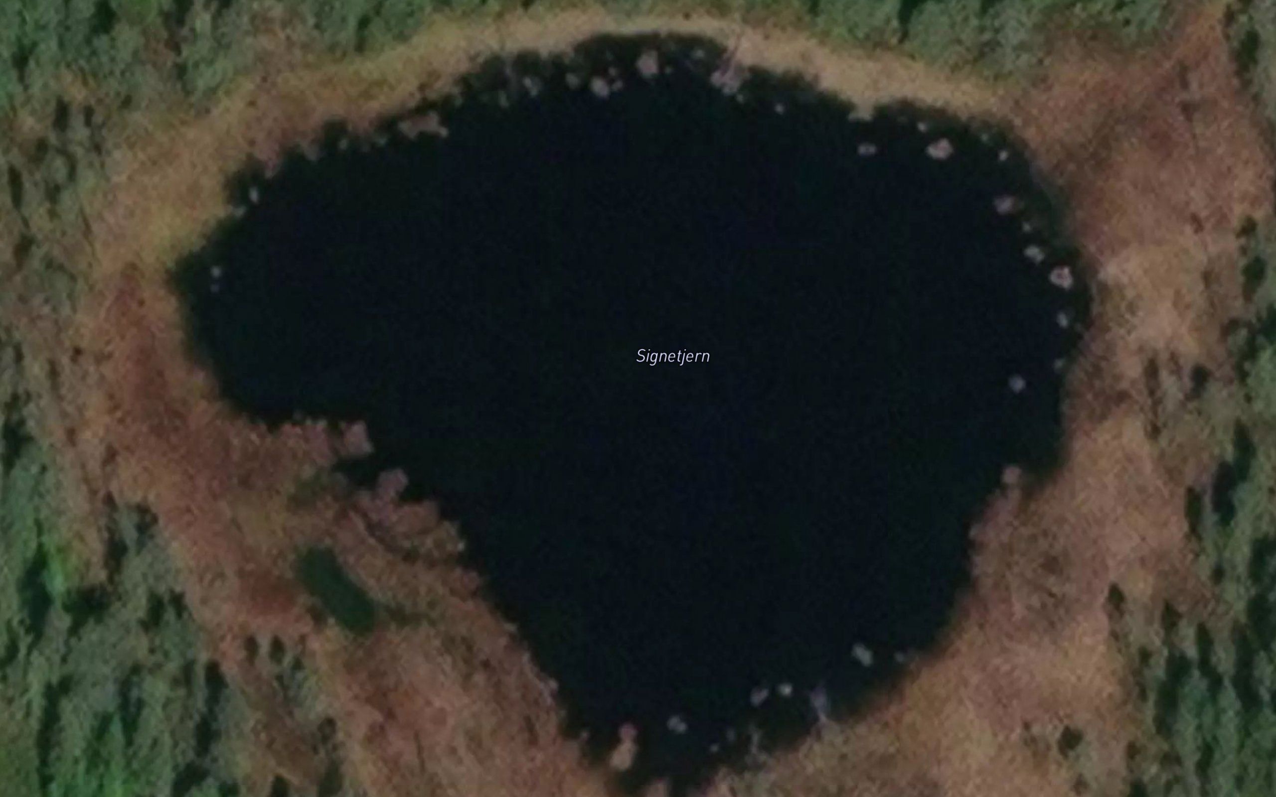 Signetjern