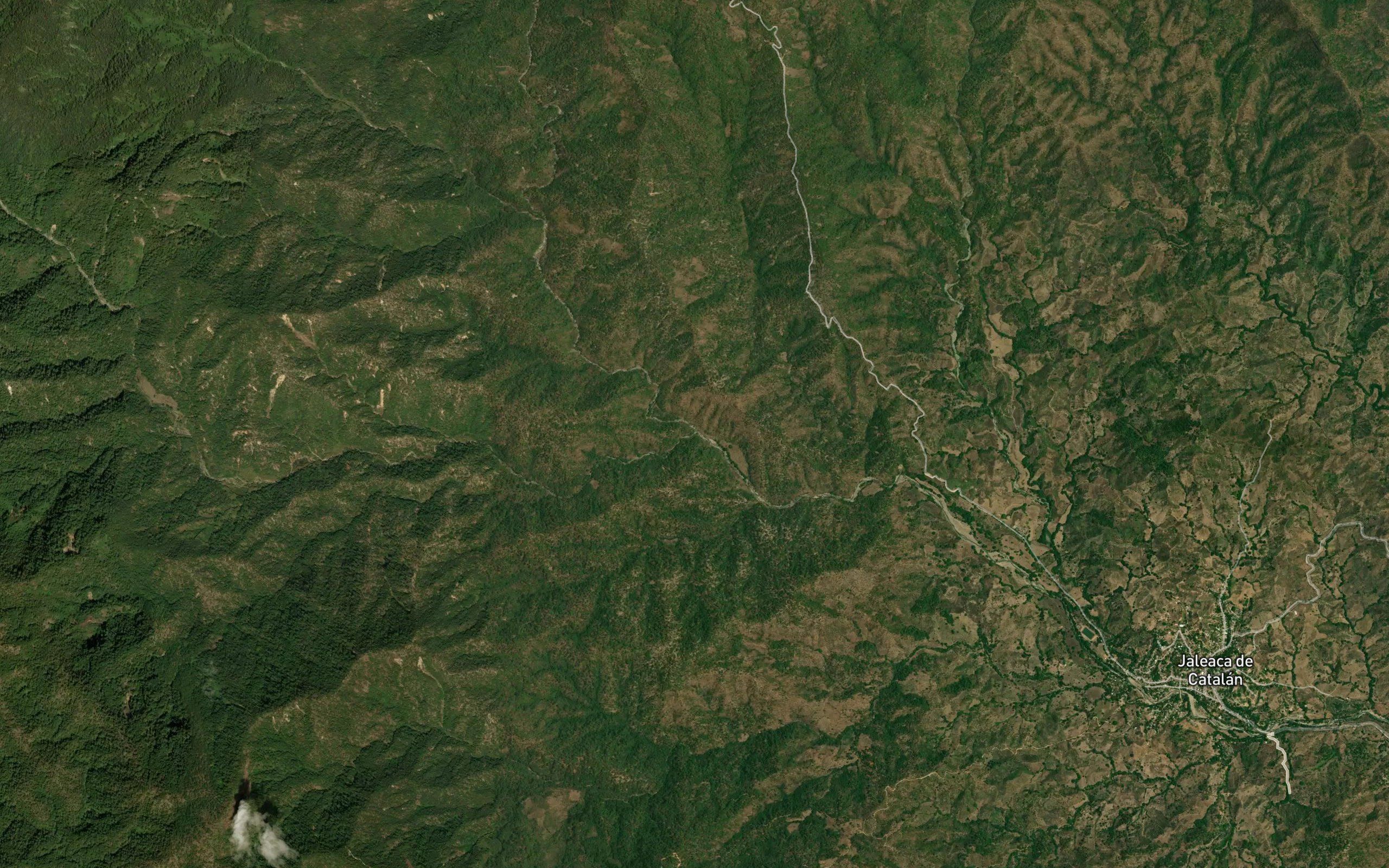 Los Nogales