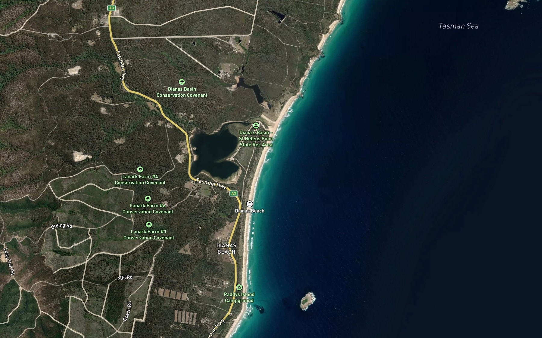 Satellite map of the Dianas Basin
