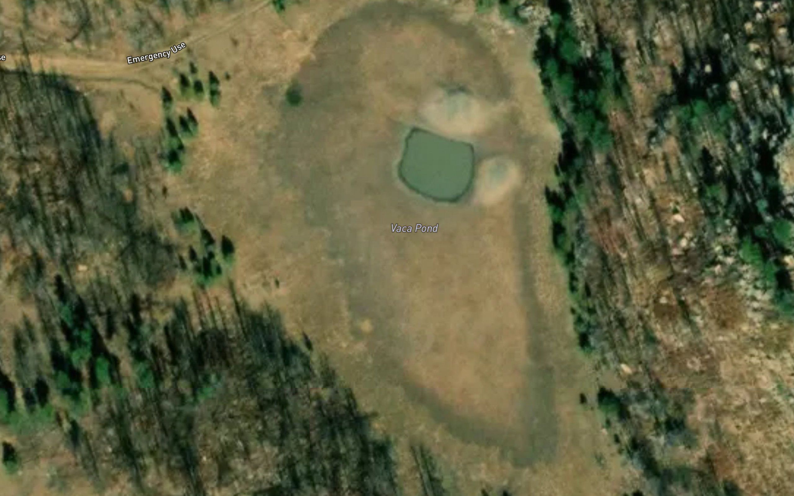 Vaca Pond