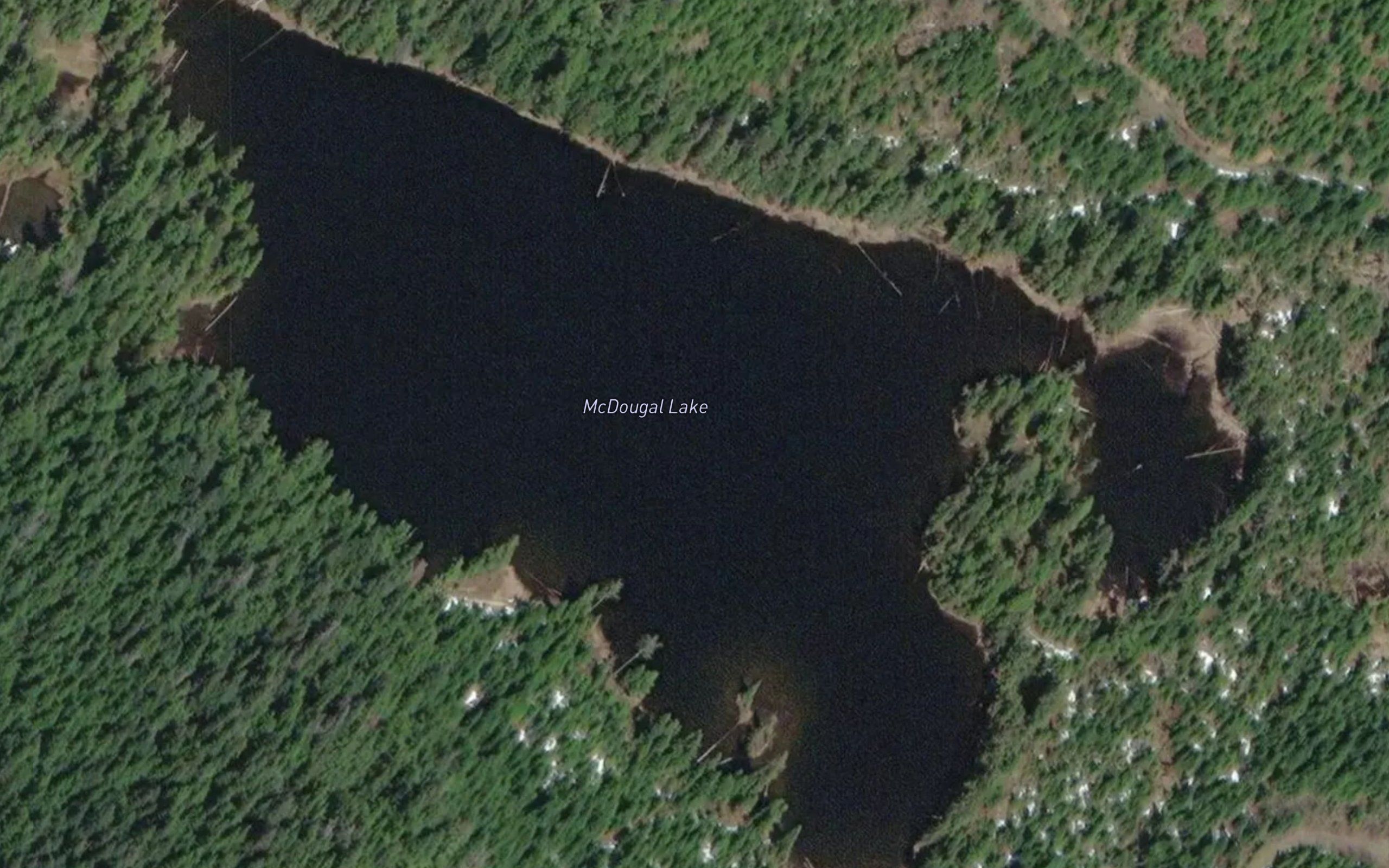 McDougal Lake