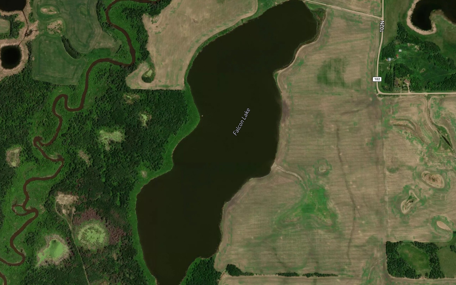Satellite map of the Falcon Lake