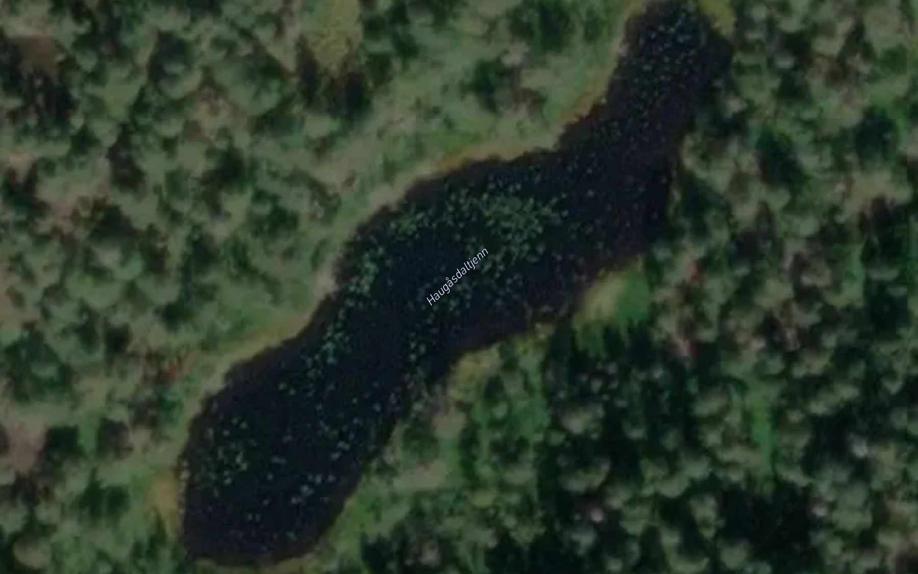 Satellite map of the Haugasdaltjenn